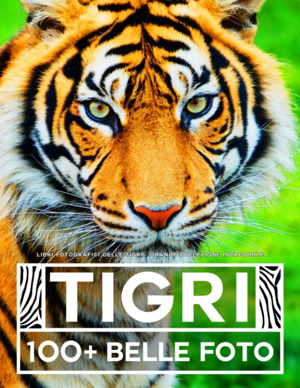 Libri Fotografici Delle Tigri - Grande Collezione Incredibile: 100 Bellissime Foto Di Tigri In Una Fantastica Collezione - Per Bambini E Adulti book