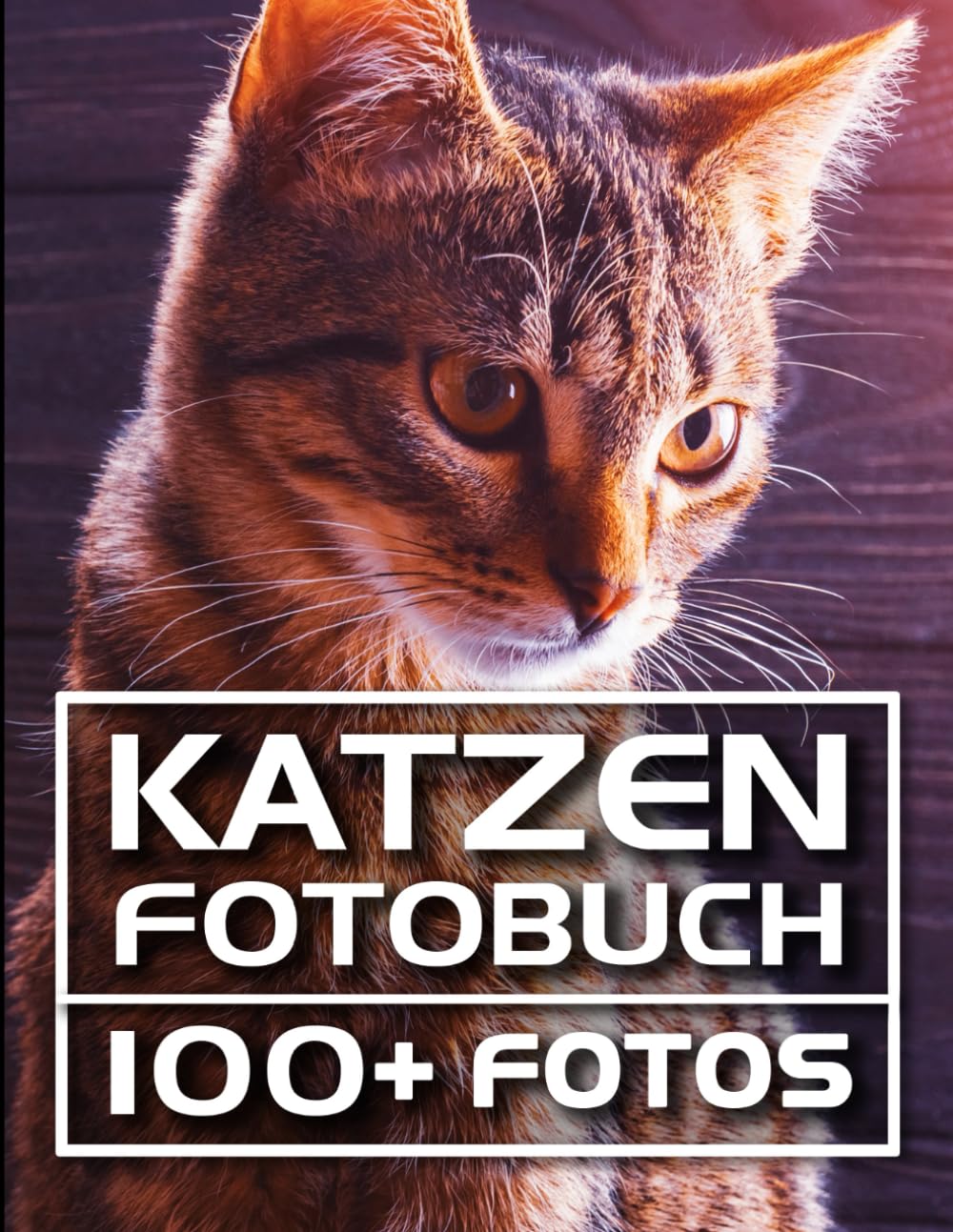 Katzen Fotobuch: 100+ Wunderschöne Fotos In Diesem Erstaunlichen Katze Buch - Ein Entzückendes Kätzchen Und Katze Bilderbuch (Katzen Buch und Katzen Bilderbuch Kollektion, Band 1) Nature & Animals