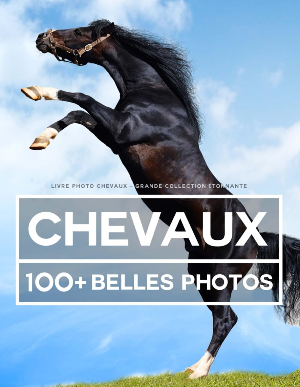 Livre Photo Chevaux - Grande Collection Étonnante: 100 Belles Photos Dans Ce Fantastique Livre Sur Les Chevaux - Livre De Photos Des Animaux Pour Enfants Et Adultes Nature & Animals
