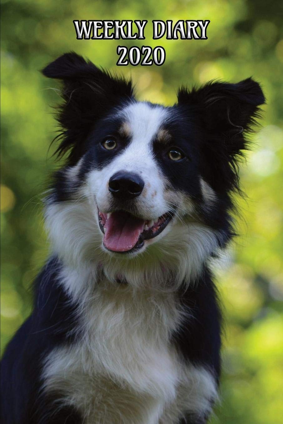Weekly Diary 2020: Weekly Planner with added extras in the Diary - Border Collie Sheep Dog Cover Essays & Short Stories