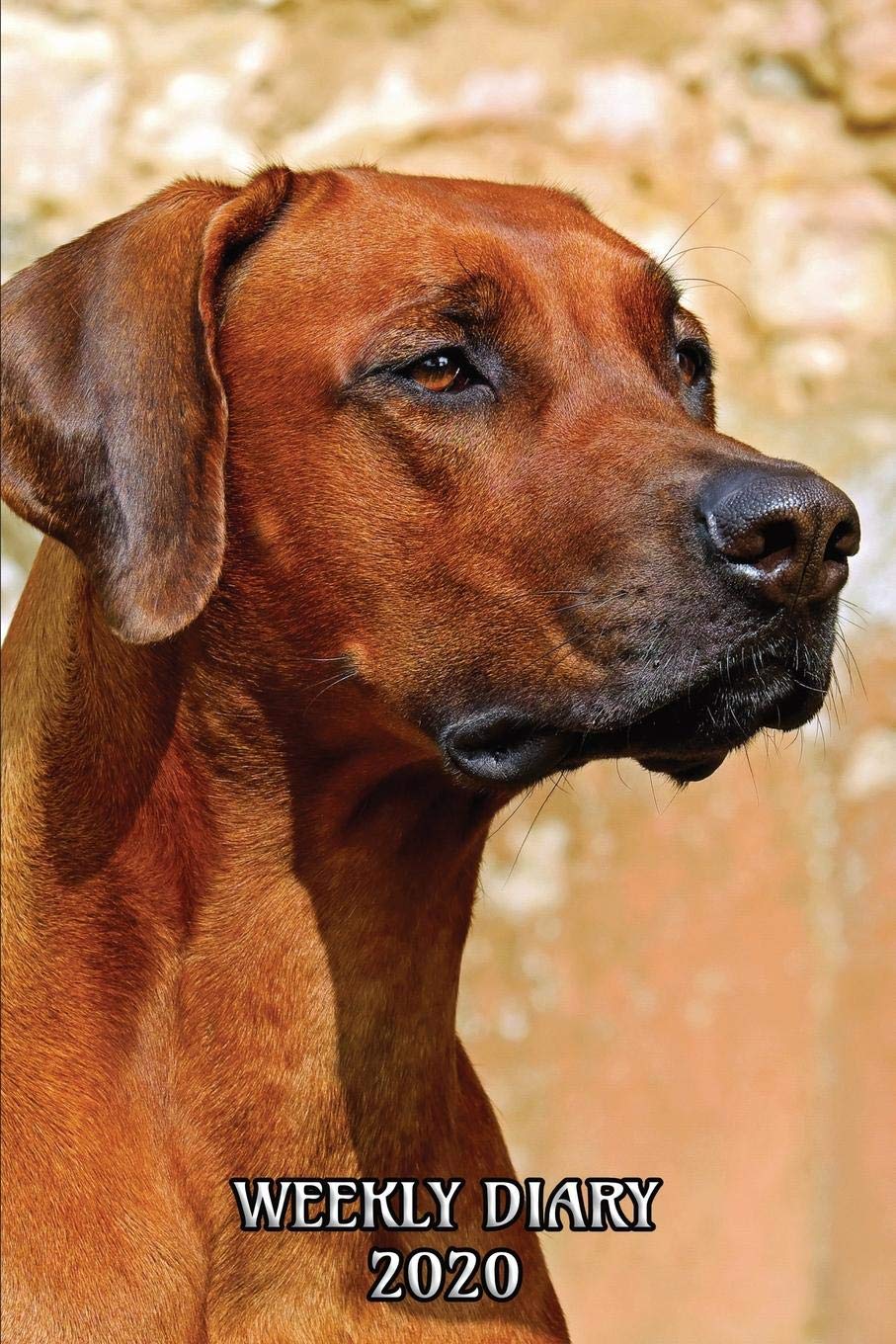 Weekly Diary 2020: Weekly Planner with added extras in the Diary - Rhodesian Ridgeback Dog Cover Home & Household