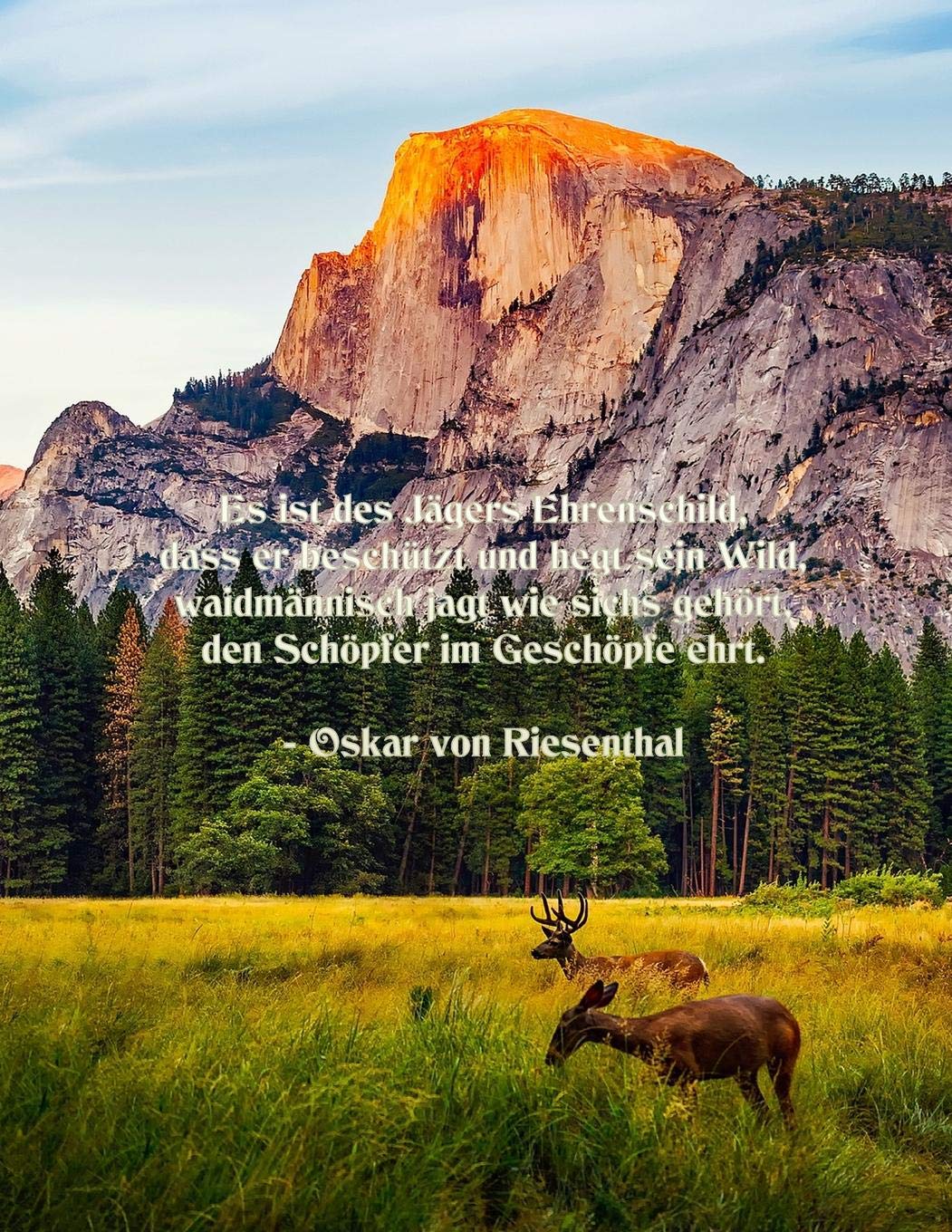 Es ist des Jägers Ehrenschild, dass er beschützt und hegt sein Wild, waidmännisch jagt wie sichs gehört, den Schöpfer im Geschöpfe ehrt. - Oskar von Riesenthal Camping & Survival Books