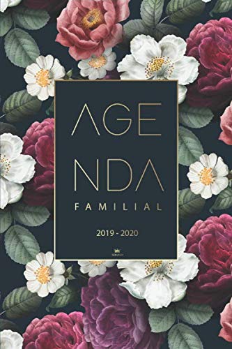 Agenda Familial 2019 2020: Agenda de poche, Planner, Agenda Semainier 2019-2020 pour 4 membres de la famille - Calendrier familial 2019 2020 | Agenda Journalier de Août 2019 à Décembre 2020 Books