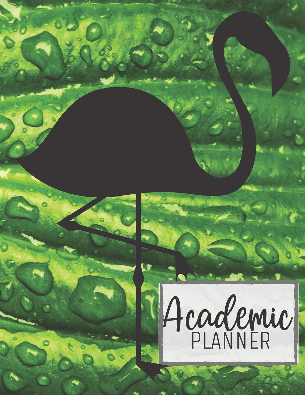 Academic Planner: Teacher/Professor Academic Lesson Planner for Planning, Productivity, Time/Classroom Management Lesson Plan Calendar for School Year Education & Training