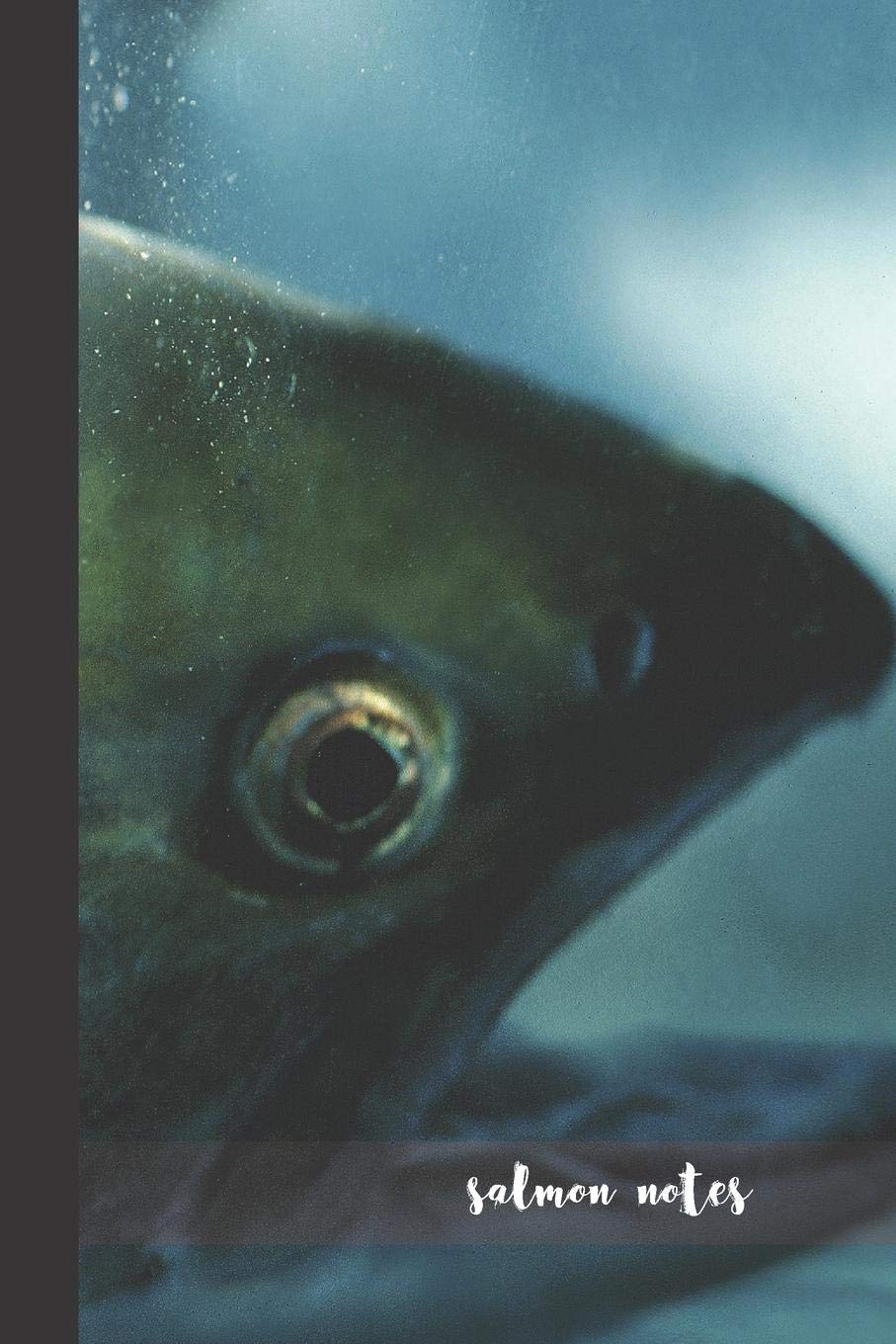 salmon notes: small lined Salmon Art Notebook / Travel Journal to write in (6'' x 9'') 120 pages Natural Sciences