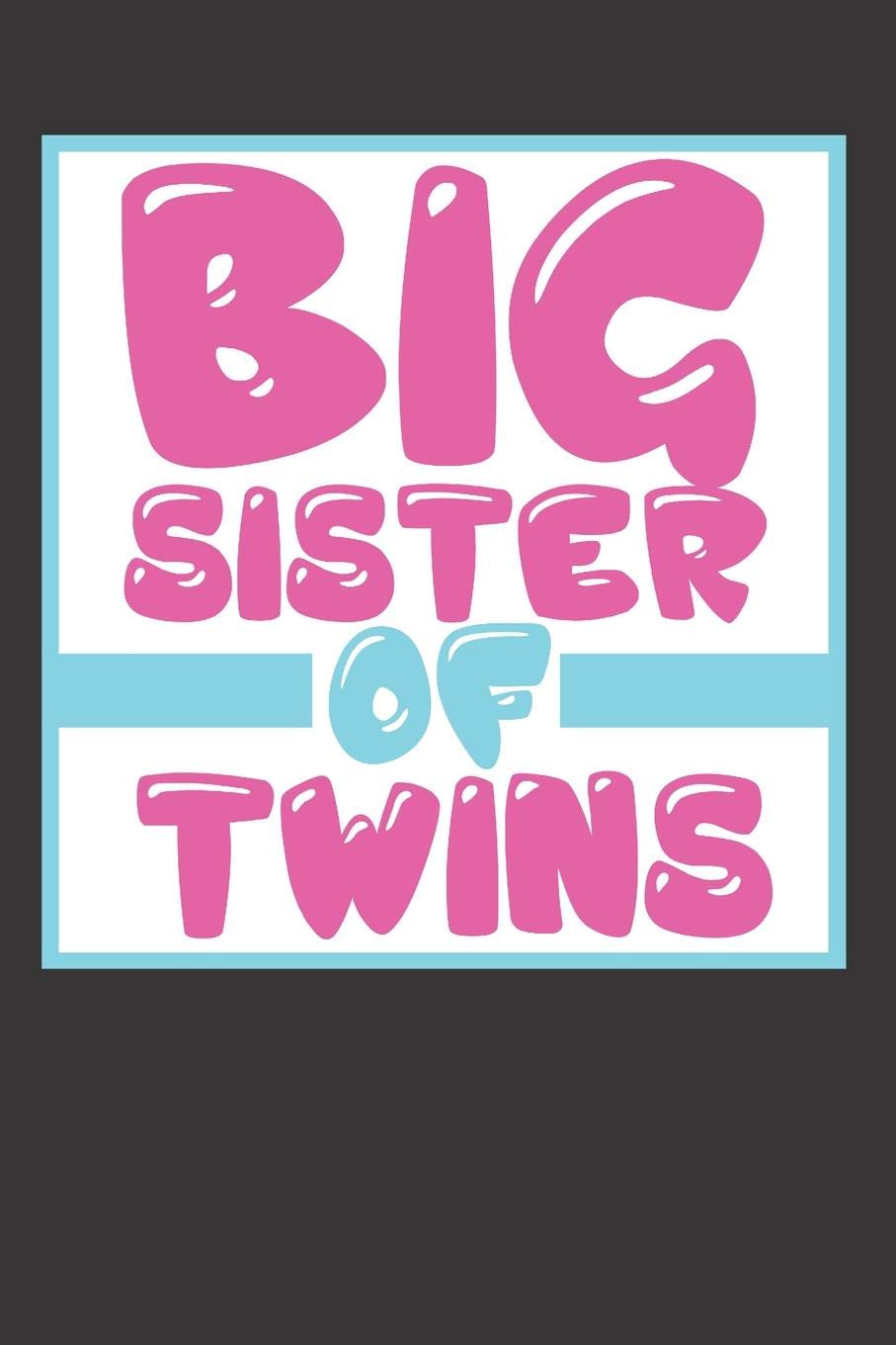 BS Twins-Notebook Journal: BS Twins-Notebook Journal College Ruled 6 x 9 120 Pages Books