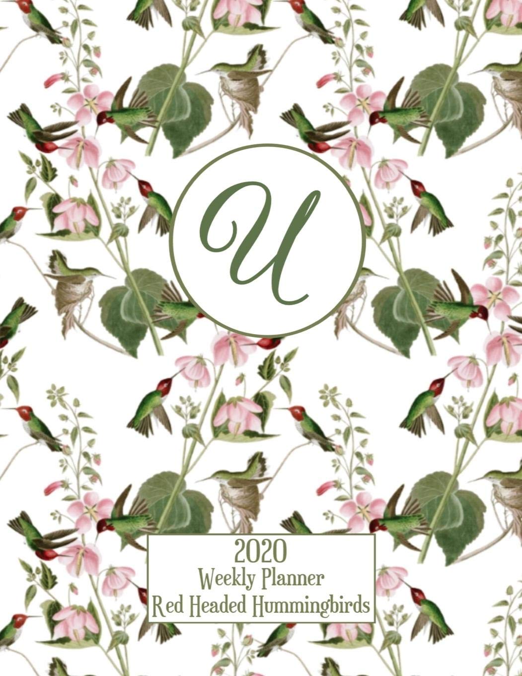 2020 Weekly Planner - Red Headed Hummingbirds - Personalized Letter U - 14 Month Large Print: Hummingbirds With Pink Trumpet Vines - White Background - Customized Interior Business, Finance & Career
