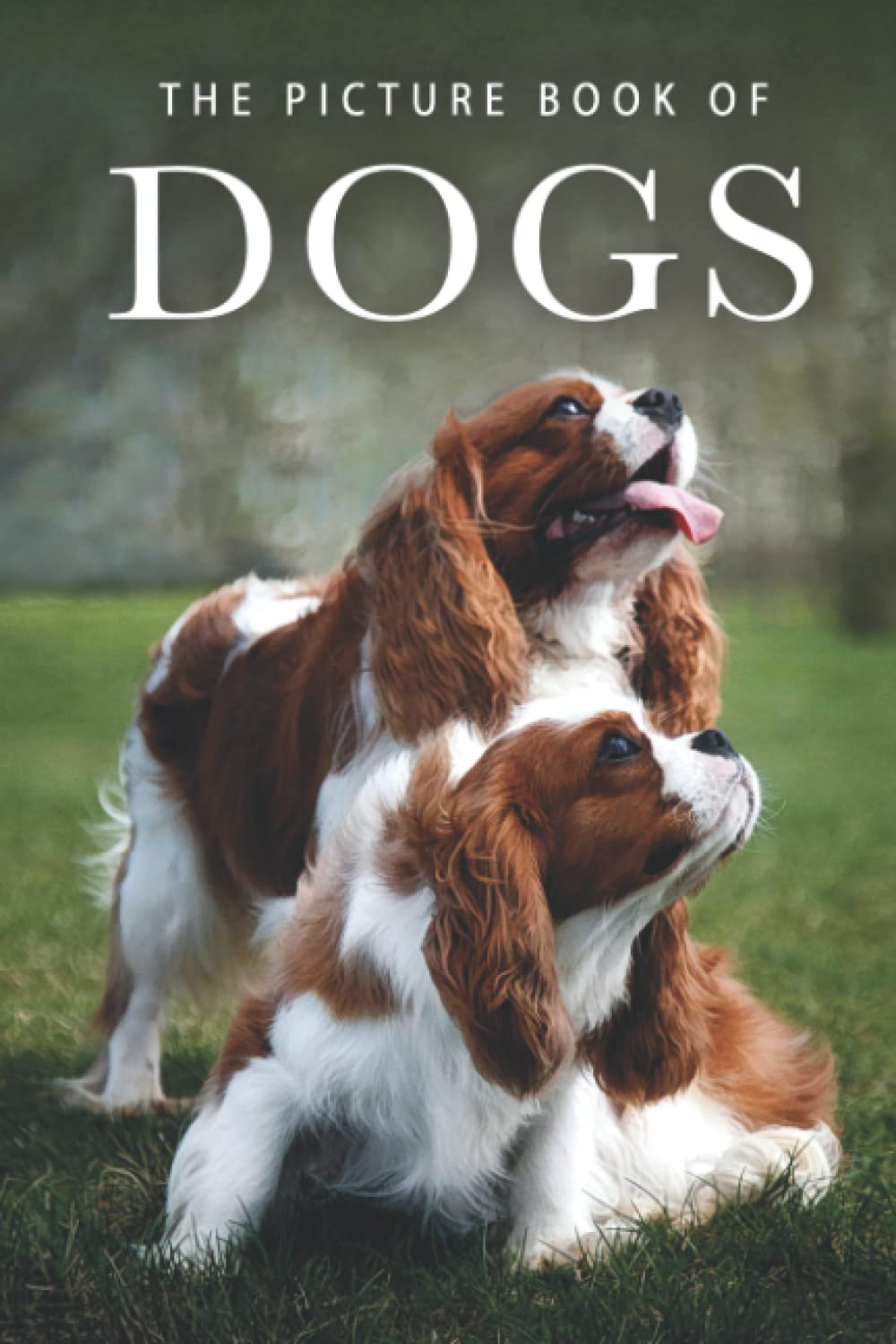 The Picture Book of Dogs: A Gift Book for Alzheimer's Patients and Seniors with Dementia (Picture Books - Animals, Band 8) Medicine