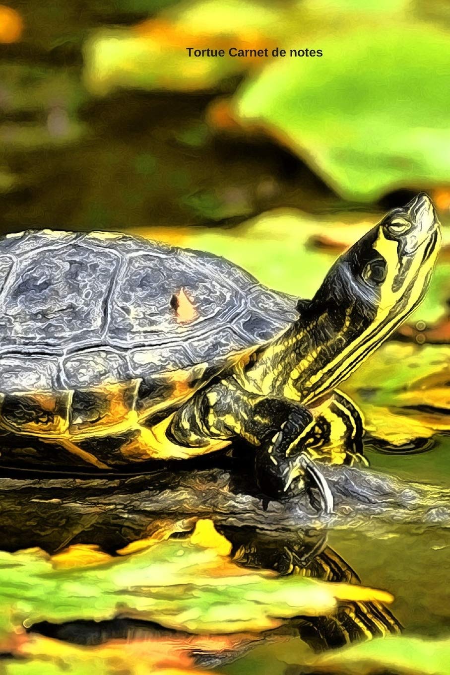 Tortue Carnet de notes: Journal ligné de 119 pages- Une belle idée de cadeau pour les amoureux des animaux book