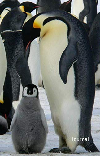 Journal: Penguin Notebook Cute Journal Lined Writing Diary Cahier Baby Emperor Penguins with Mother and Father Gift Lovers Quaderno Notizbuch Mathematics