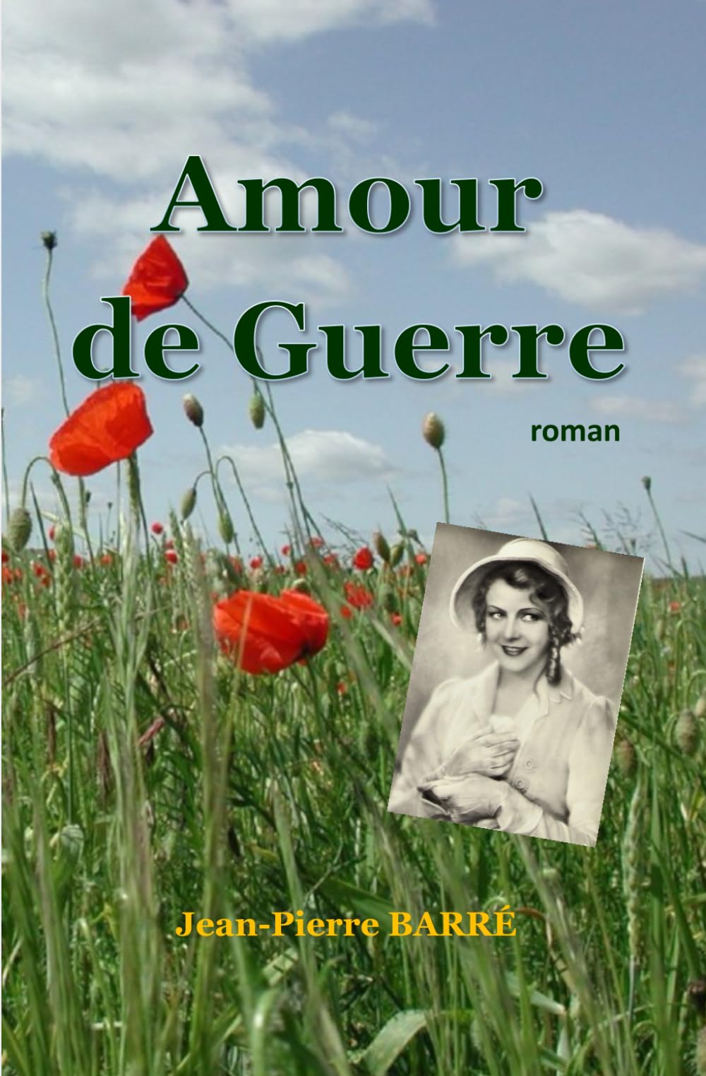 Amour de guerre: Improbable rencontre book