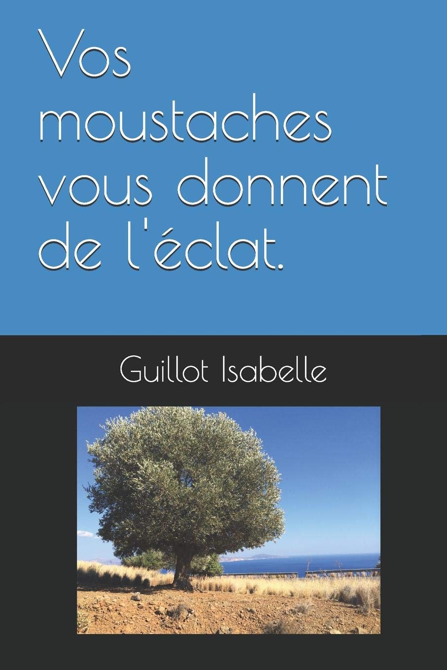 Vos moustaches vous donnent de l'éclat. book