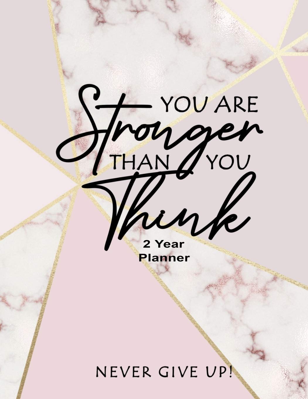 You Are Stronger Than You Think Never Give Up 2 Year Planner: Daily, Monthly, 2 Year Planner, Organizer, Appointment Scheduler, Personal Journal, Logbook, 24 Months Calendar awesome marble cover.... Business, Finance & Career