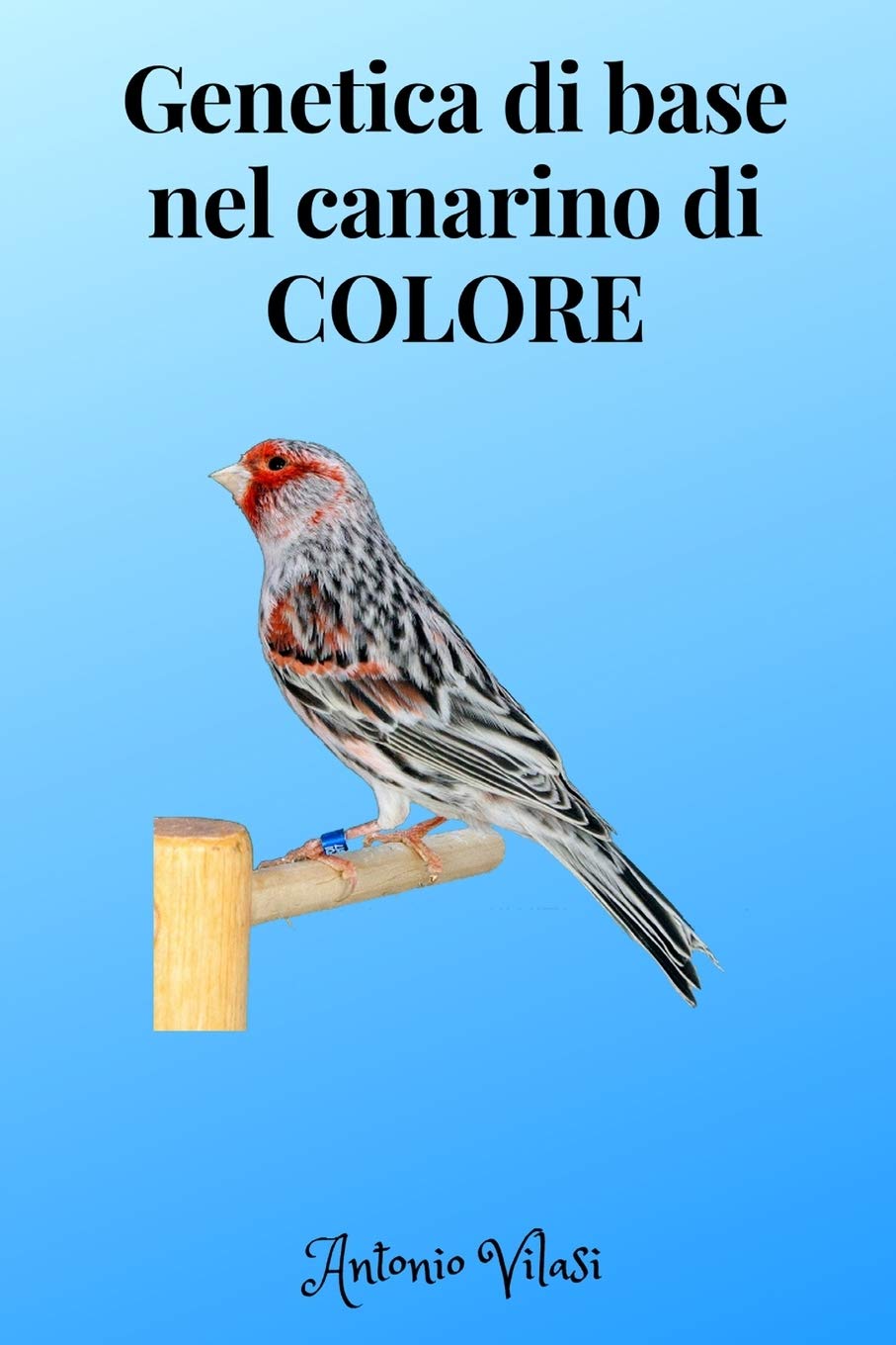 Genetica di base nel canarino di colore book