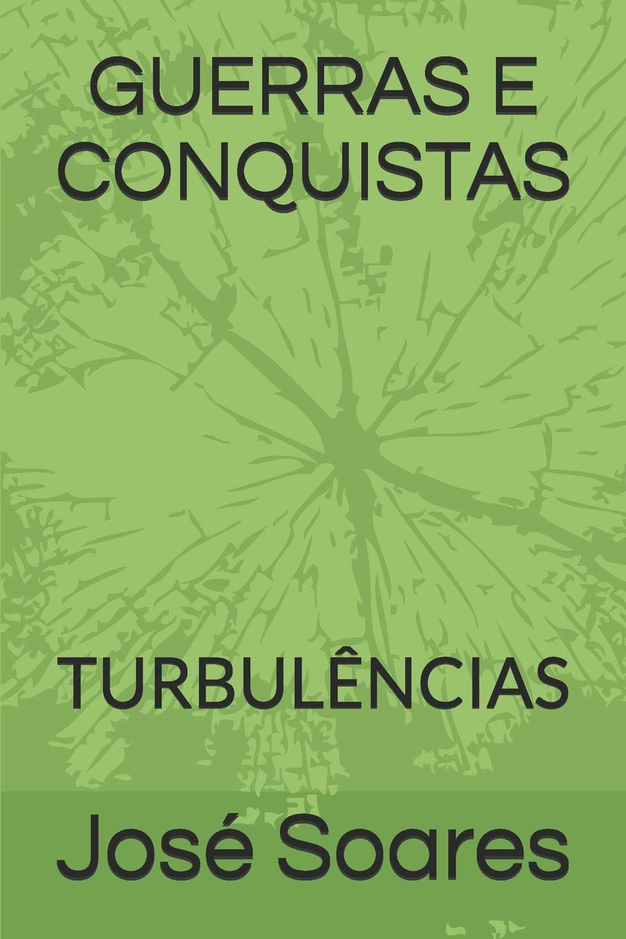 GUERRAS E CONQUISTAS: TURBULÊNCIAS book