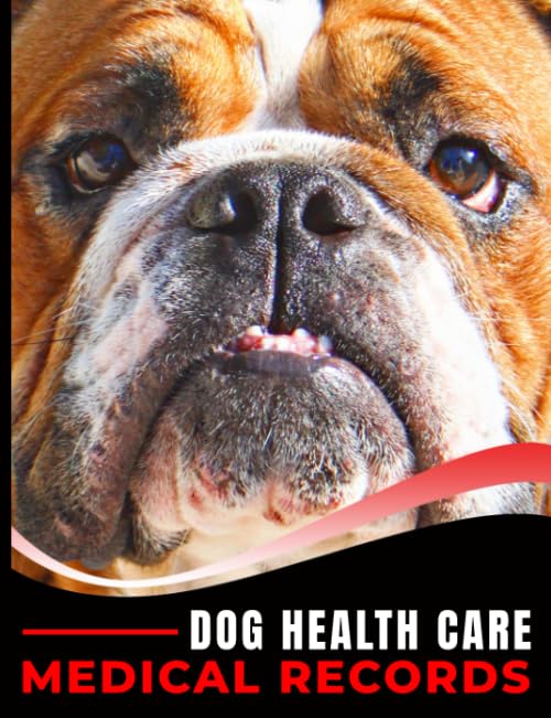 Dog Health Care Medical Records Book: Medication, Immunization Log Notebook with Pet Sitter Daily Care Notes, Bulldog Cover Tiptoi & Games