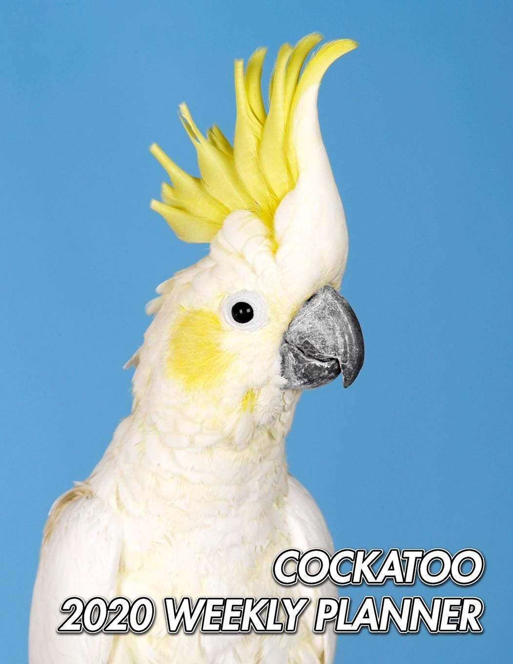 Cockatoo 2020 Weekly Planner: Sulphur-Crested Cockatoo | Cacatua galerita | 2020 Weekly Calendar | 12 Months | 107 pages 8.5 x 11 in. | Planner | ... | Appointment | Half Spread Blank Pages Mathematics