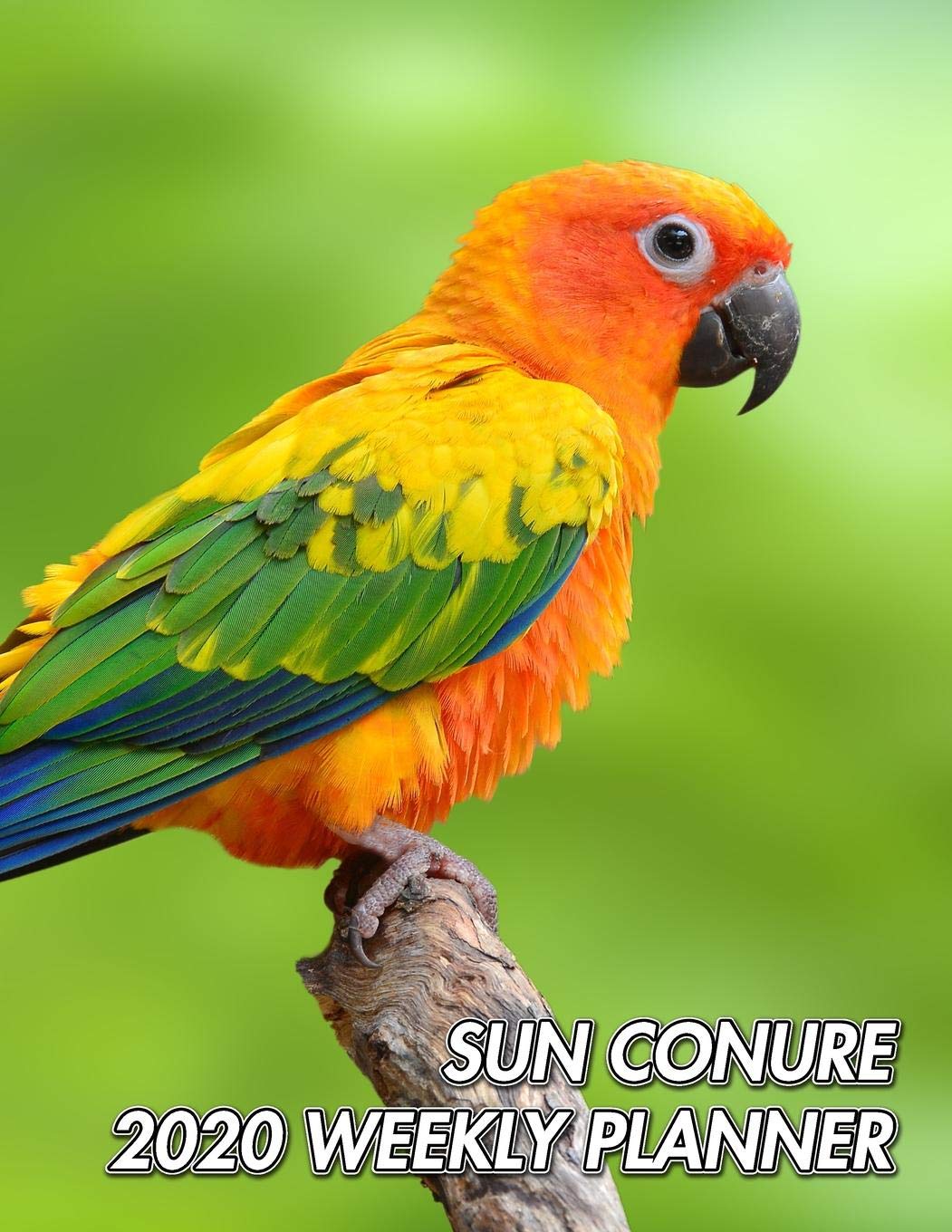Sun Conure 2020 Weekly Planner: Sun Parakeet | Aratinga solstitialis | 2020 Weekly Calendar | 12 Months | 107 pages 8.5 x 11 in. | Planner | Diary | ... | Appointment | Half Spread Blank Pages Mathematics