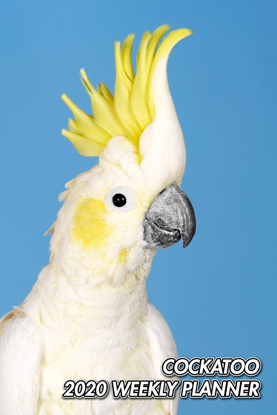 Cockatoo 2020 Weekly Planner: Sulphur-Crested Cockatoo | Cacatua galerita | Calendar | 12 Months | 107 pages 6 x 9 in. | Planner | Diary | Organizer ... | Appointment | Half Spread Wide Ruled Pages Mathematics