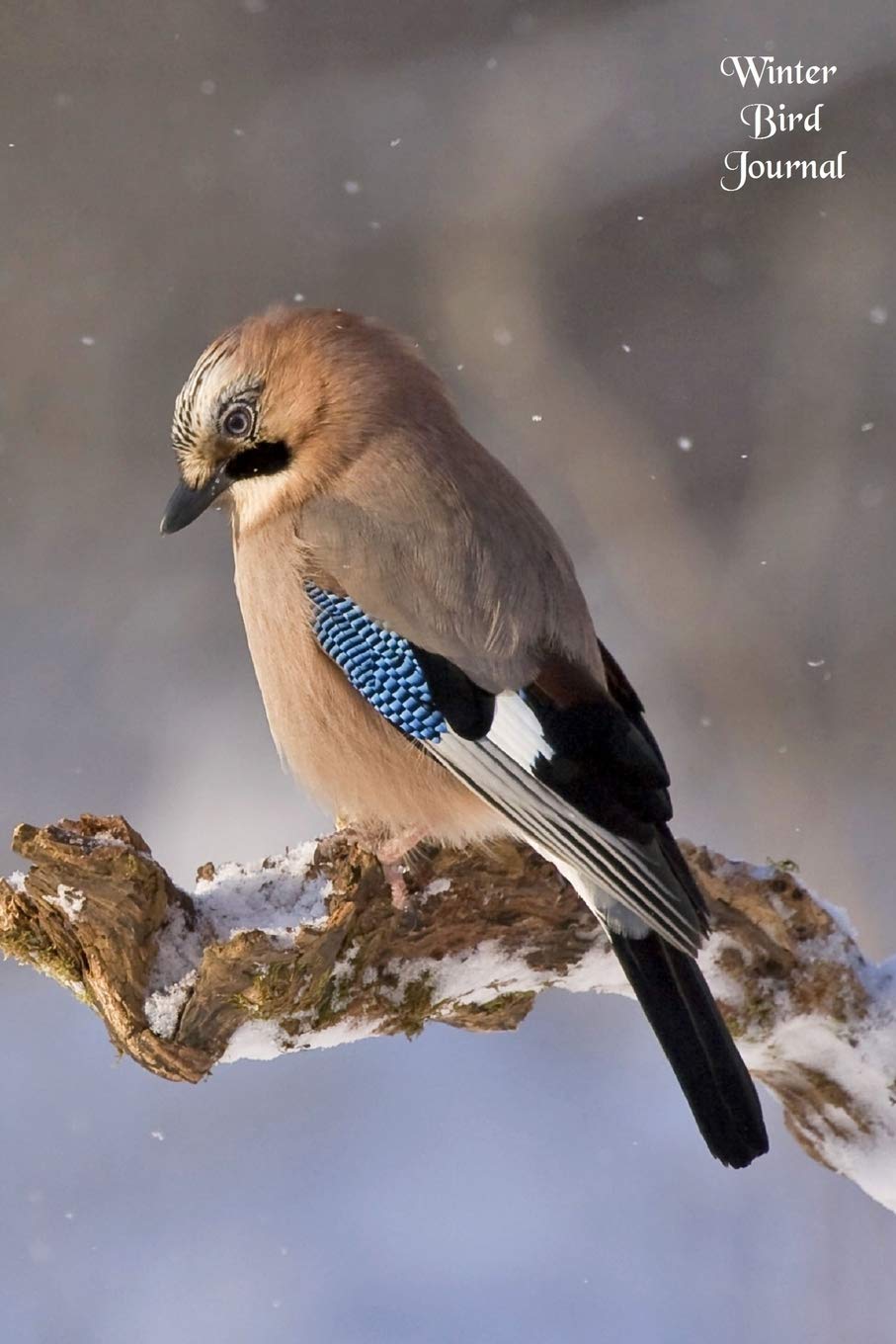 Winter Bird Journal: Beautiful 6 x 9 inch 110 page lined journal - Great gift for bird watchers Media & Communication