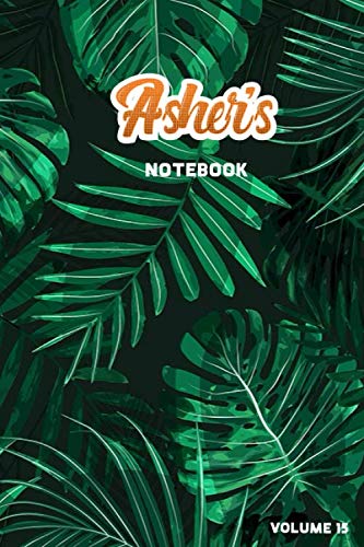 Asher's Notebook Volume 15: Lined Personalized and Customized College Ruled Name Notebook Journal for Men & Women & Boys & Girls Learning & Reference