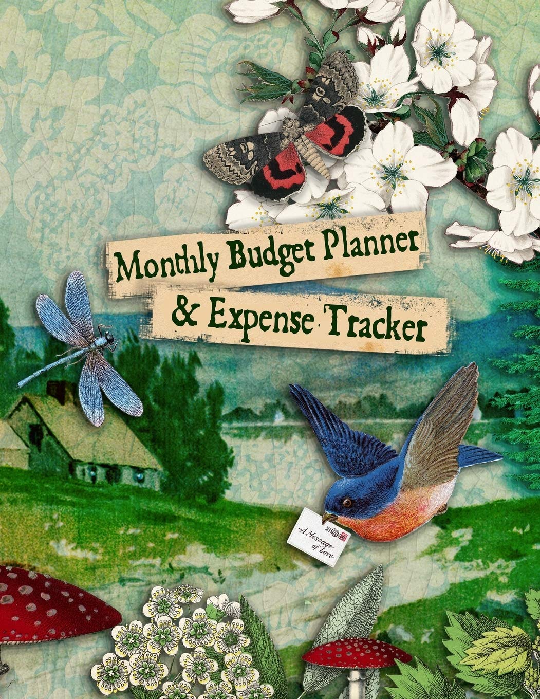 Monthly Budget Planner & Expense Tracker: Financial Log Book Organiser, Undated Household Finances, Savings Journal Kit, Bill Checklist and Tracker Business, Finance & Career