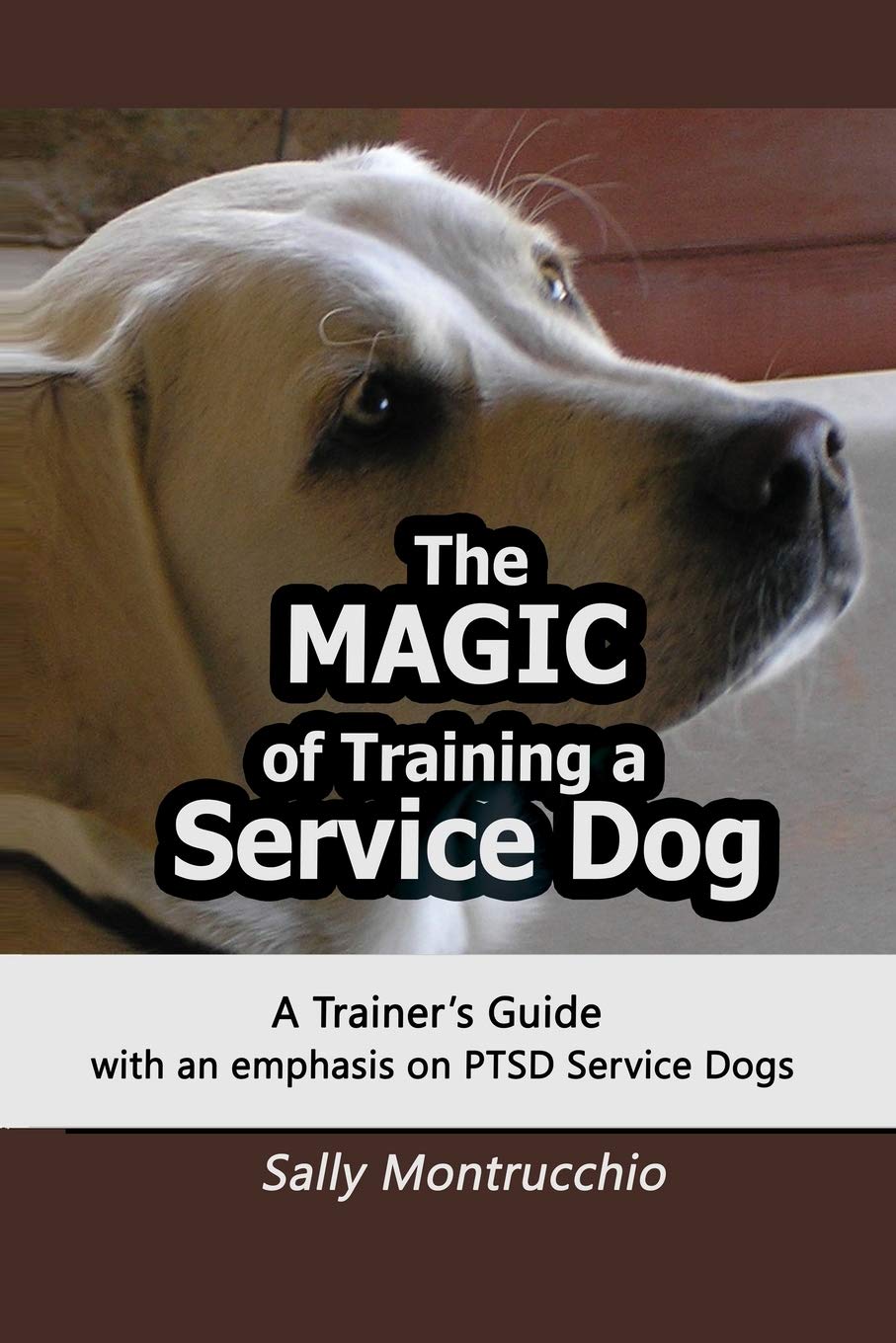 The Magic of Training a Service Dog Pets