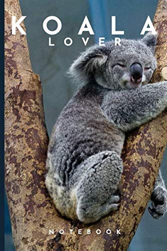 Koala Lover Notebook: Cute fun koala themed notebook: ideal gift for koala lovers of all kinds: 120 page college ruled notebook Mathematics
