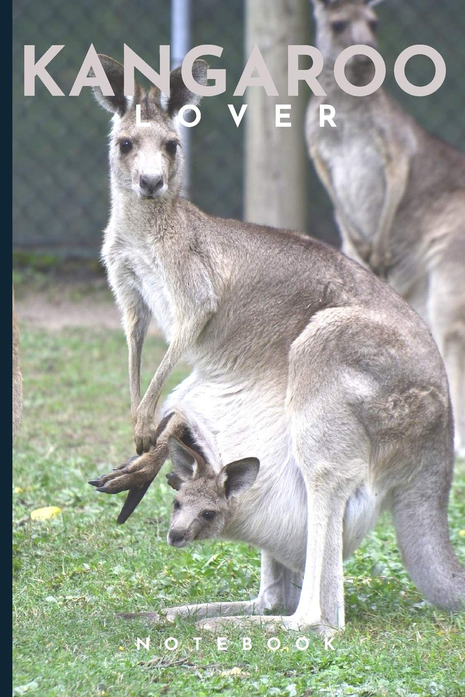 Kangaroo Lovers Notebook: Cute fun kangaroo themed notebook: ideal gift for kangaroo lovers of all kinds: 120 page college ruled notebook Mathematics