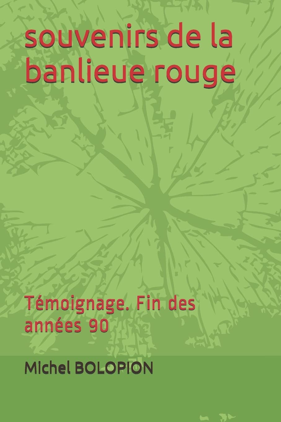 souvenirs de la banlieue rouge: Témoignage. Fin des années 90 Politics & Society