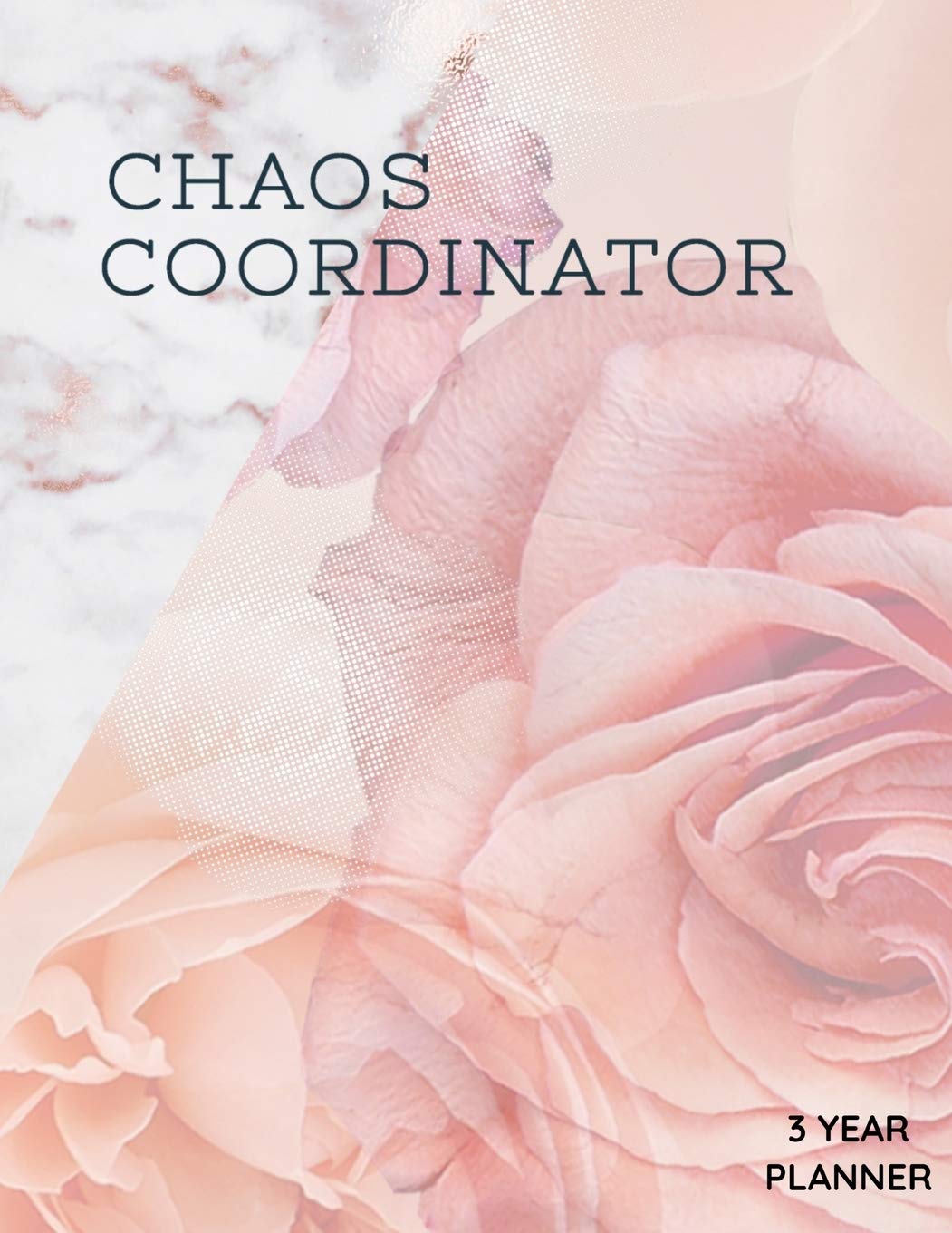 Chaos Coordinator 3 year Planner: Daily, Monthly, 3 Year Planner, Organizer, Appointment Scheduler, Personal Journal, Logbook, 24 Months Calendar.... book