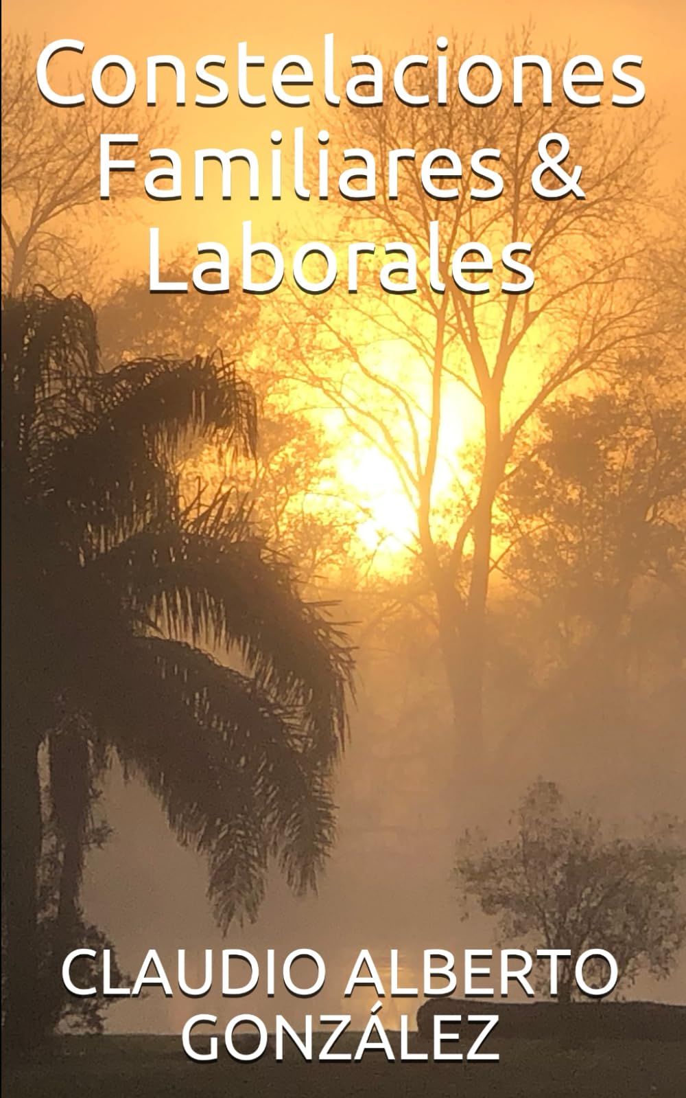 Constelaciones Familiares & Laborales Health, Nutrition & Fitness