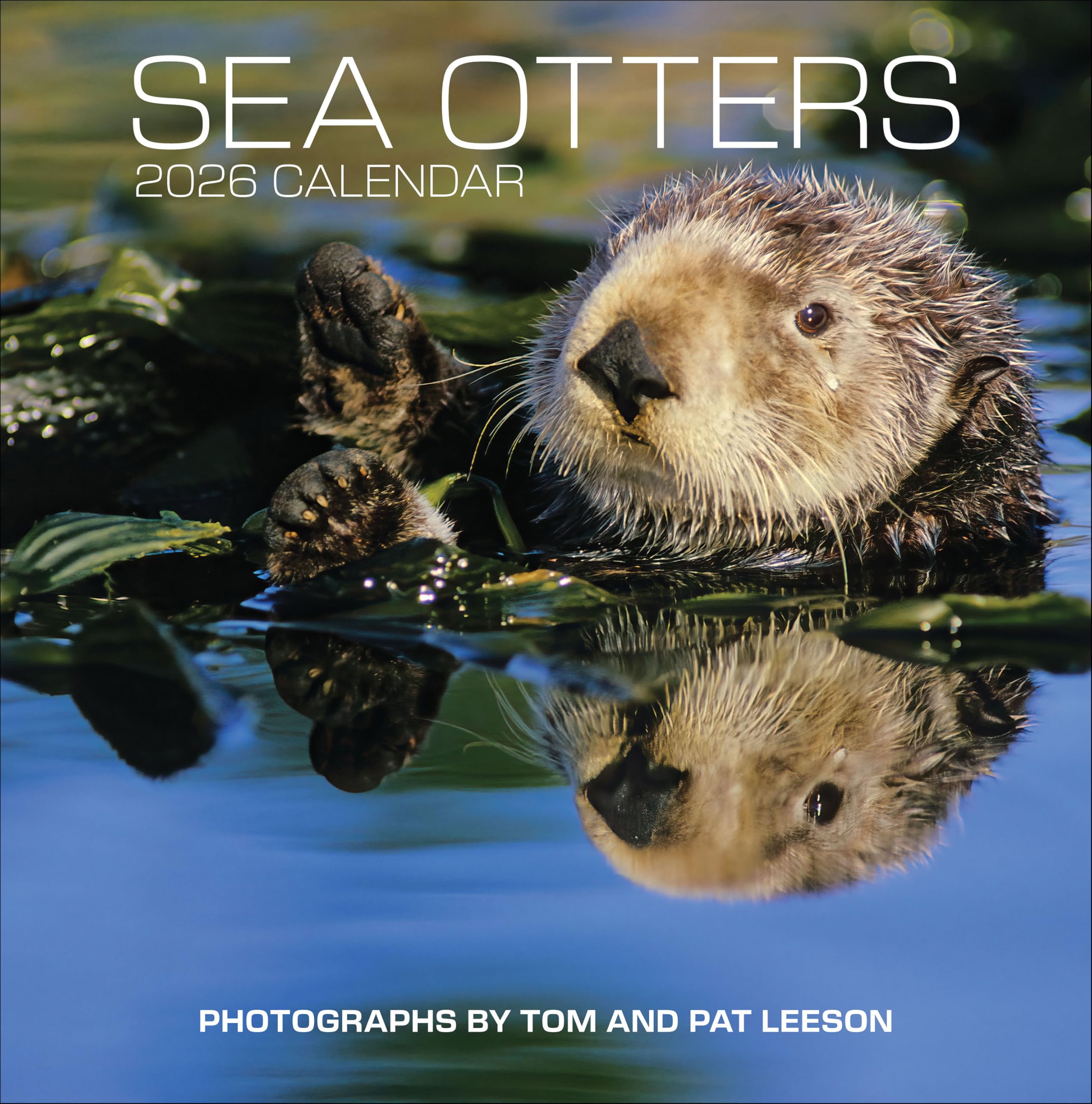 Sea Otters: Photographs by Tom and Pat Leeson 2026 Wall Calendar Nature & Animals