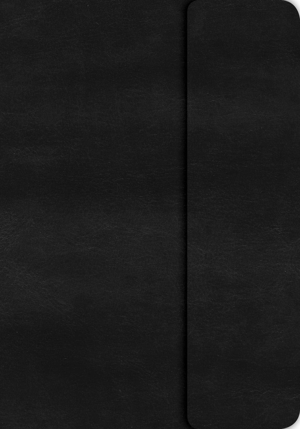 KJV Large Print Compact Reference Bible, Black Leathertouch with Magnetic Flap Film, Art & Culture