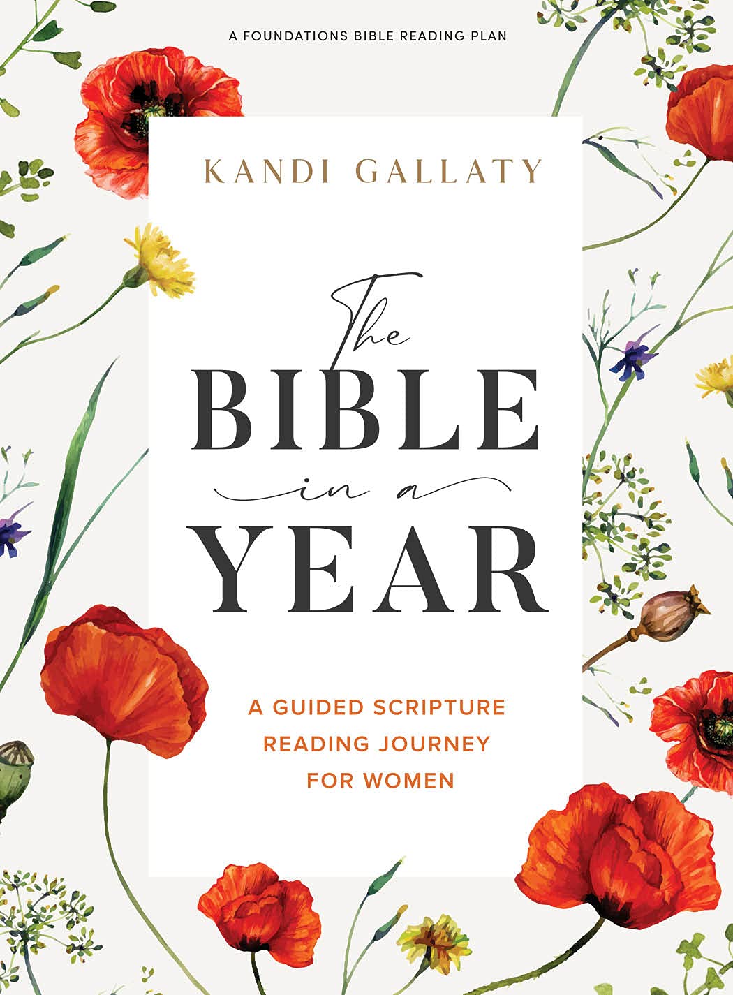 Bible in a Year Bible Study Book, The Books