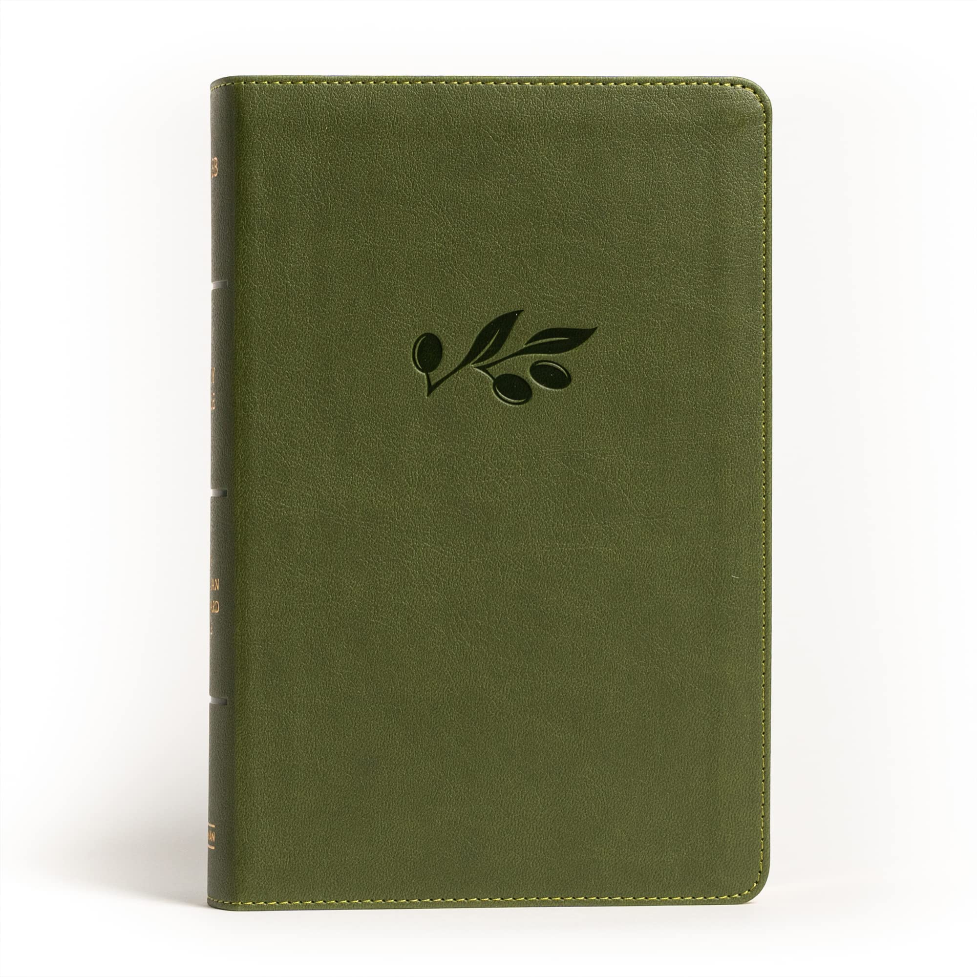 Holy Bible: New American Standard Bible, Large Print Personal Size Reference Bible, Leathertouch, Olive Religion & Esotericism