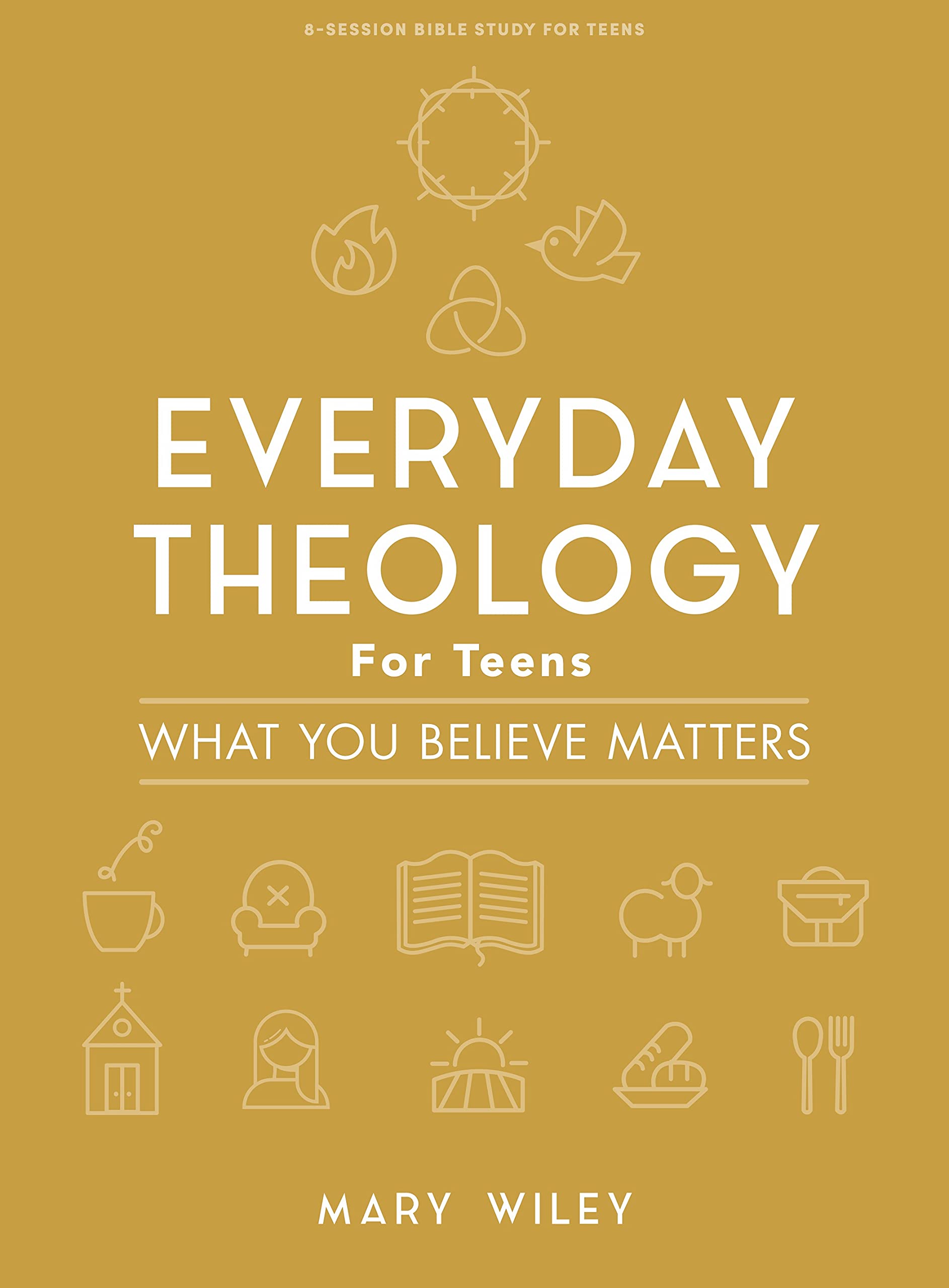 Everyday Theology - Teen Girls Bible Study Book: What You Believe Matters Religion & Esotericism