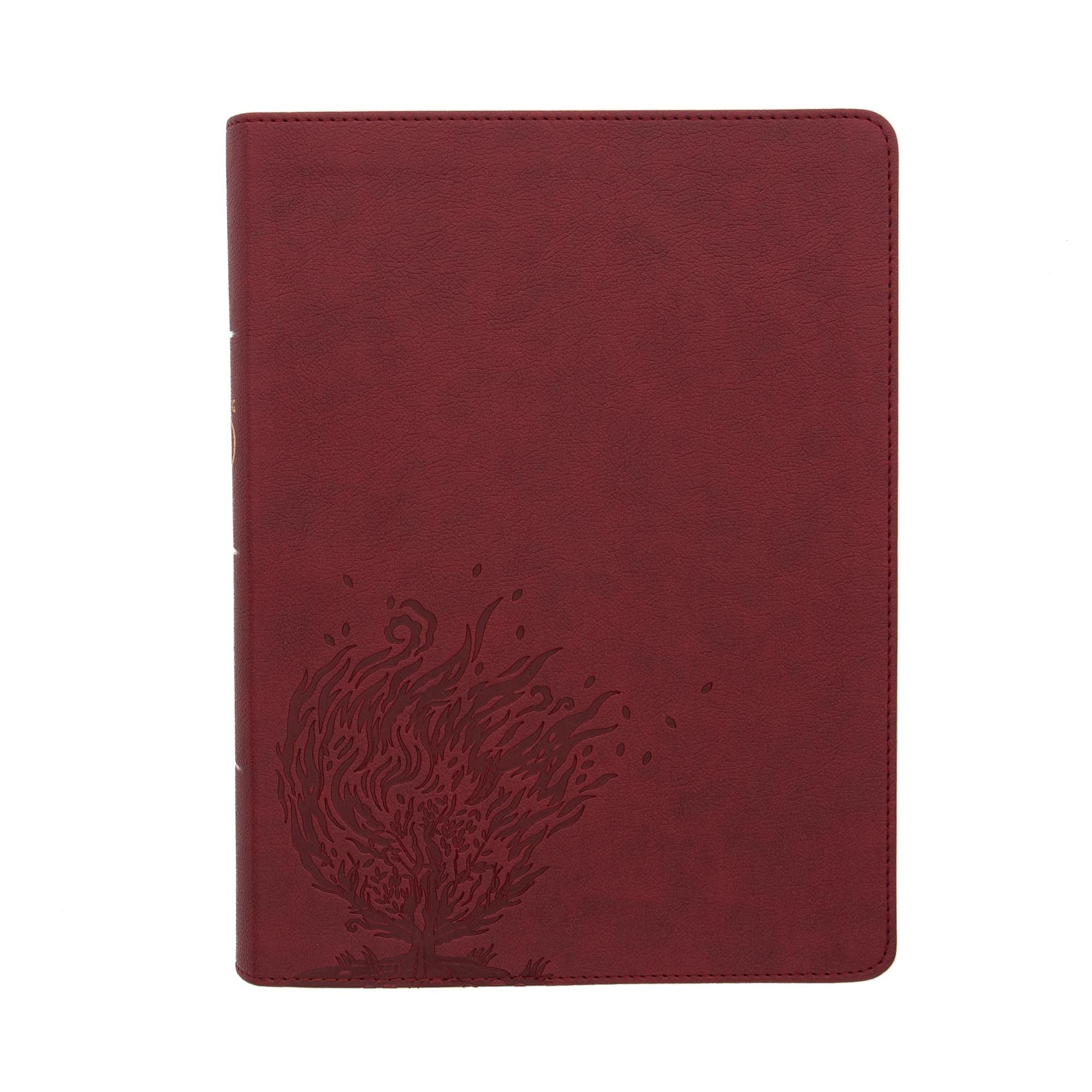 Holy Bible: Csb Experiencing God Bible, Burgundy Leathertouch Religion & Esotericism