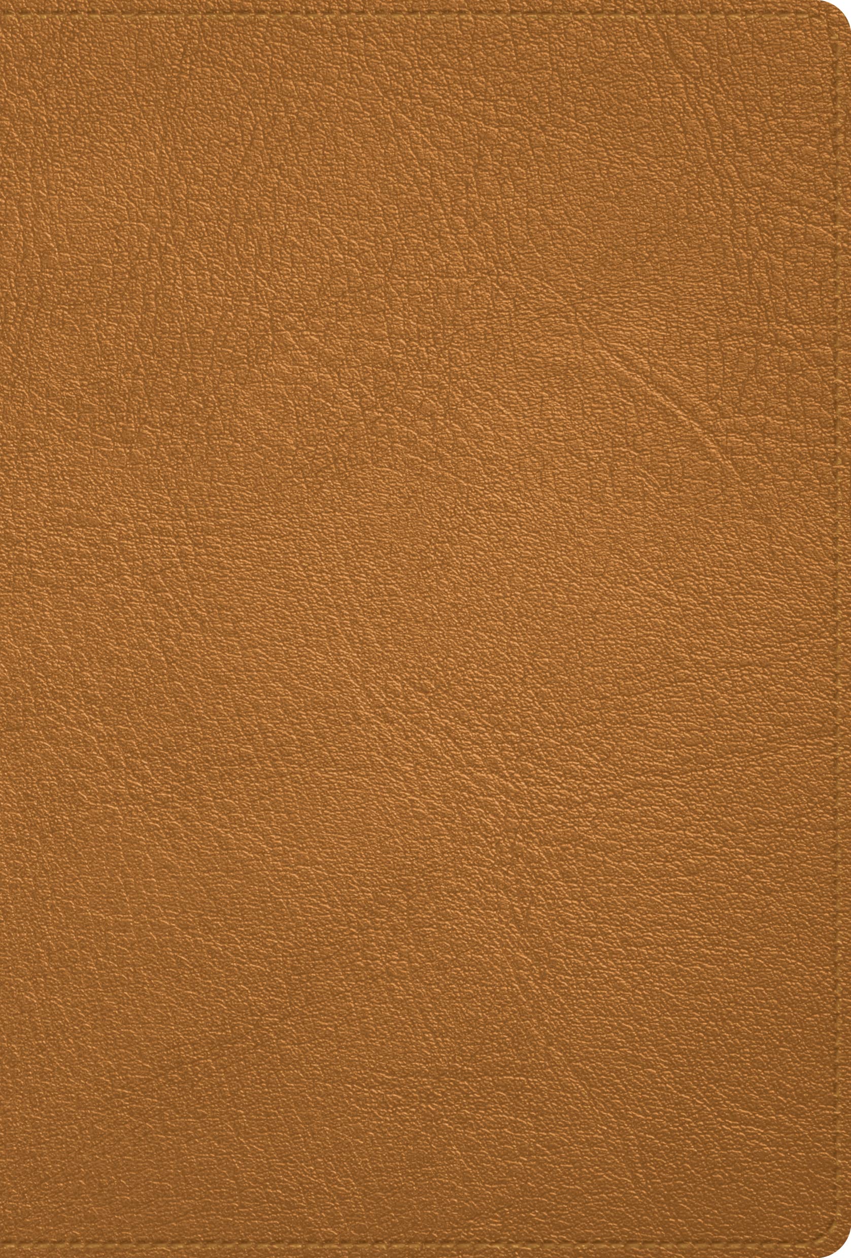 Santa Biblia/ Holy Bible: RVR 1960 Biblia caramelo, piel genuina/ RVR 1960 Bible Caramel, Genuine Leather Religion & Esotericism