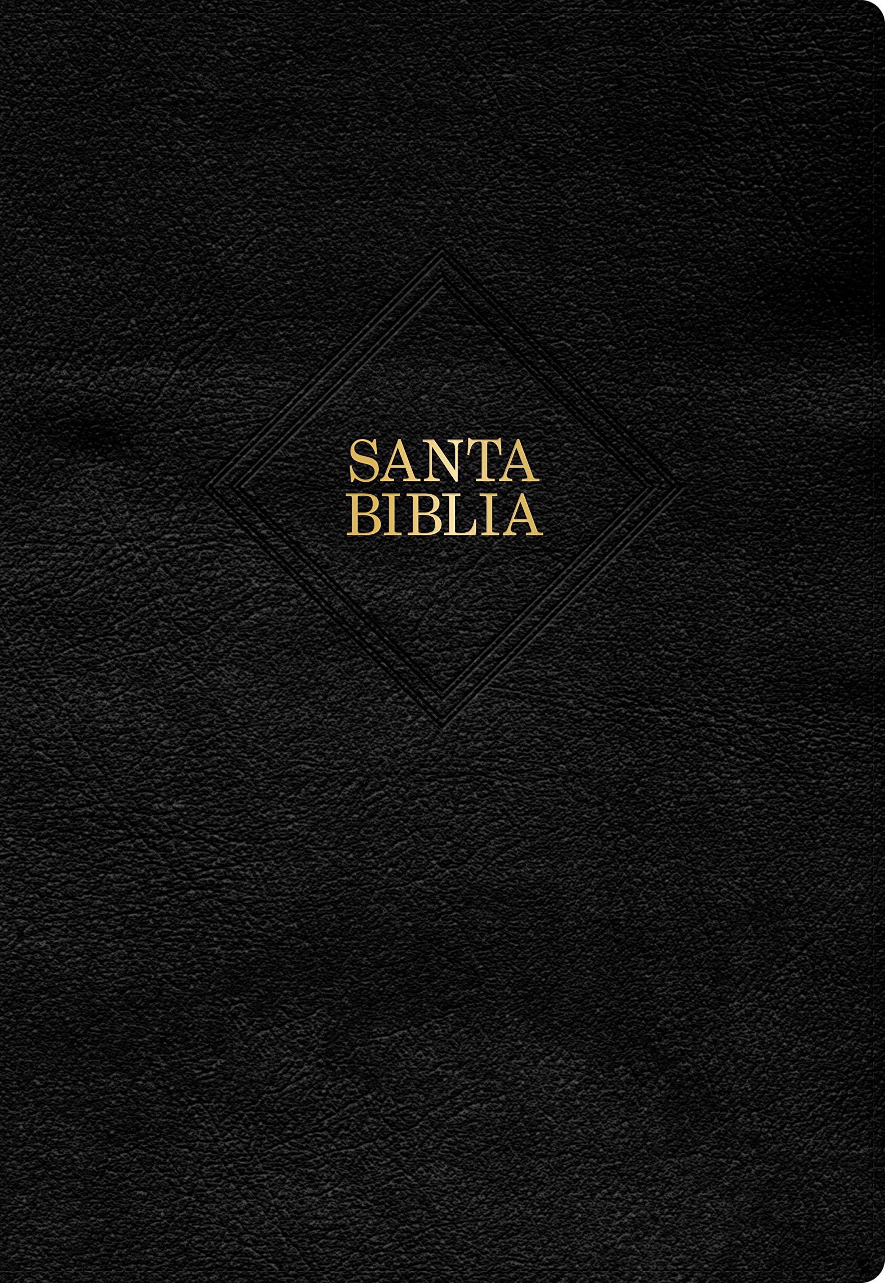 Holy Bible: Rvr 1960 Biblia Letra Súper Gigante Edition 2023 Negro, Piel Fabricada Religion & Esotericism
