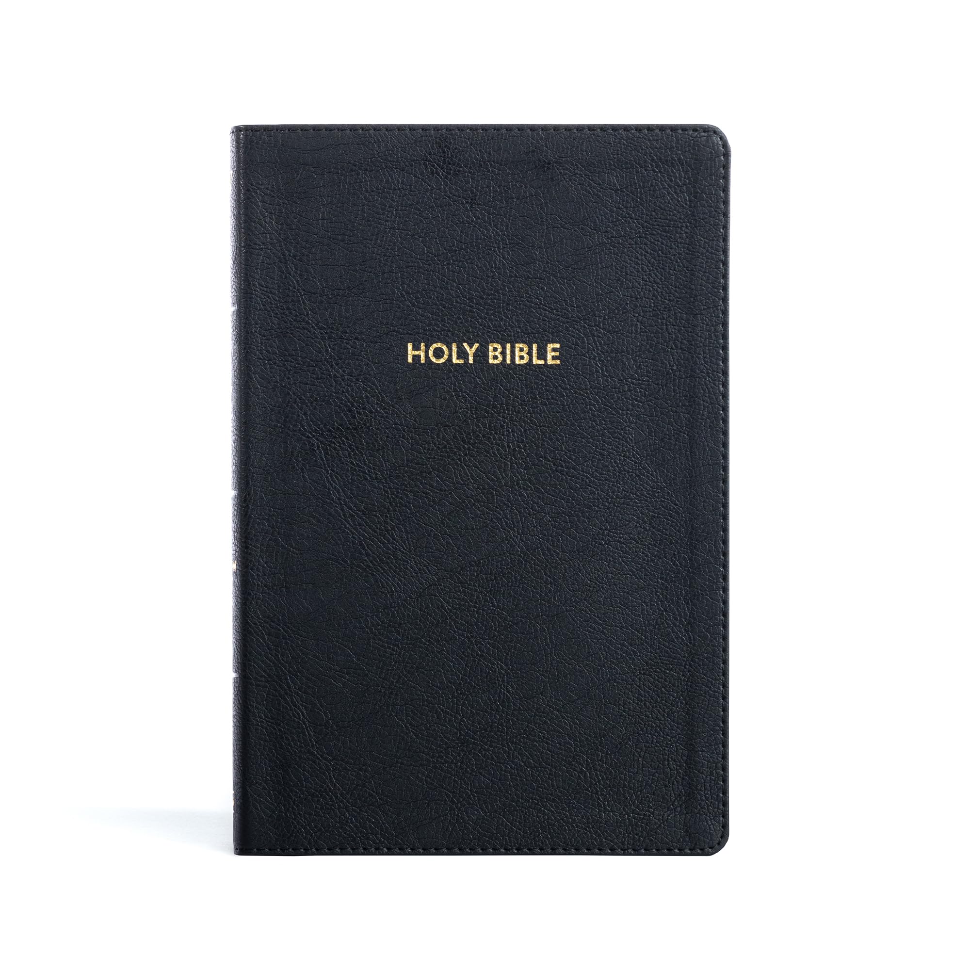 Holy Bible: King James Version, Rainbow Study Bible, Black, Leathertouch Religion & Esotericism
