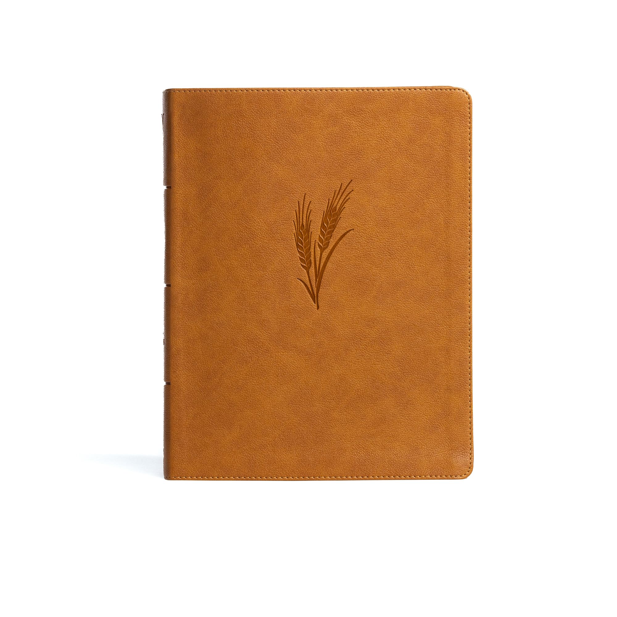 Notetaking Bible: King James Version, Camel, Leathertouch Religion & Esotericism