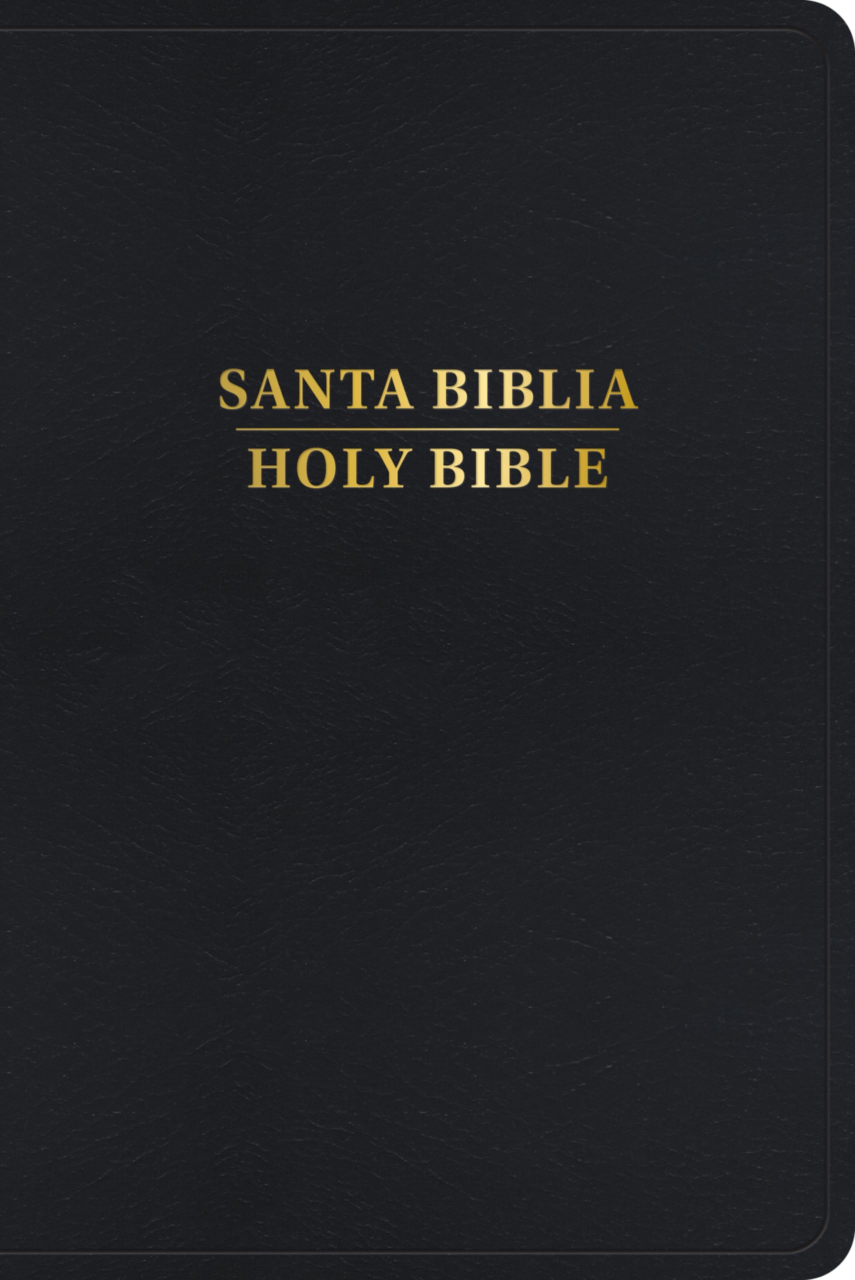 Santa Biblia: Rvr 1960/Kjv Biblia Bilingüe, Negro Imitación Piel (2024 Ed.) Religion & Esotericism