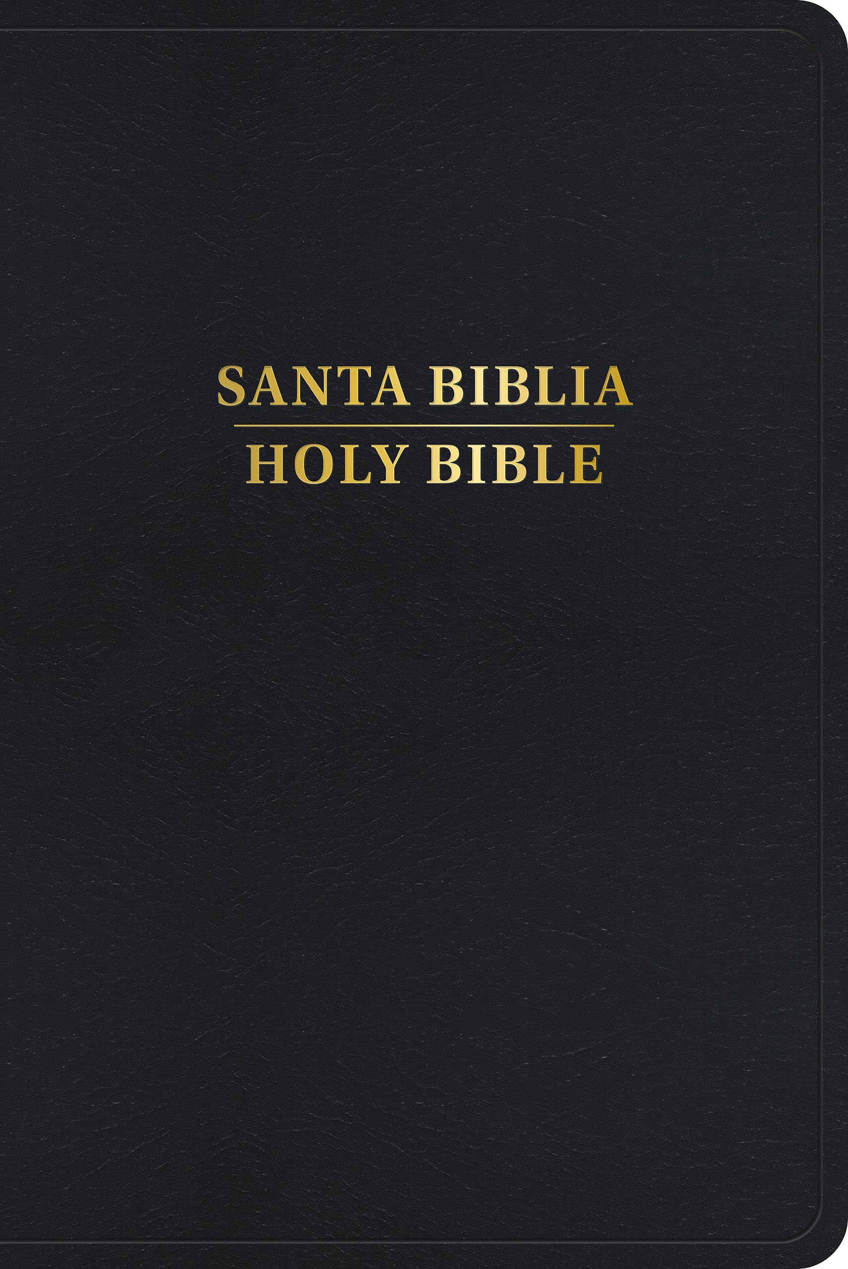 Santa Biblia: Rvr 1960/Kjv Biblia Bilingüe, Negro Imitación Piel Con Índice (2024 Ed.) Religion & Esotericism