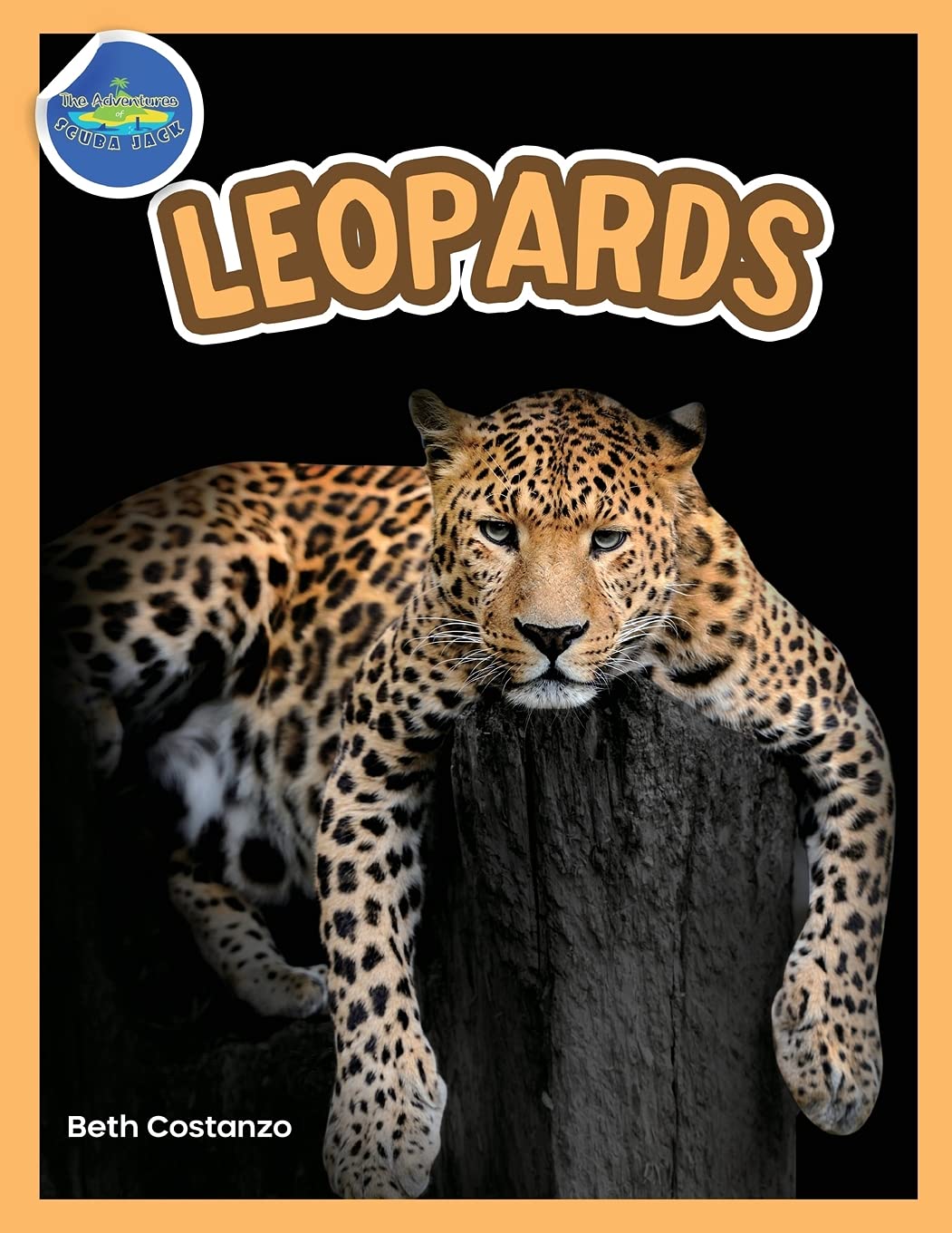 The Amazing World of Leopards Booklet with Activities ages 4-8 Children's books