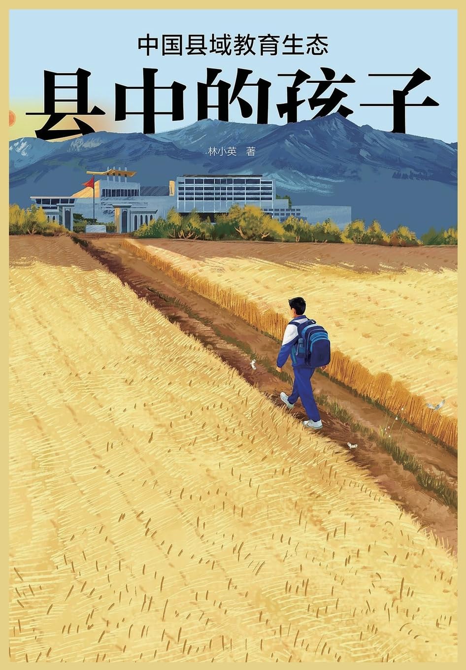县中的孩子:中国县域教育生态 Social Sciences