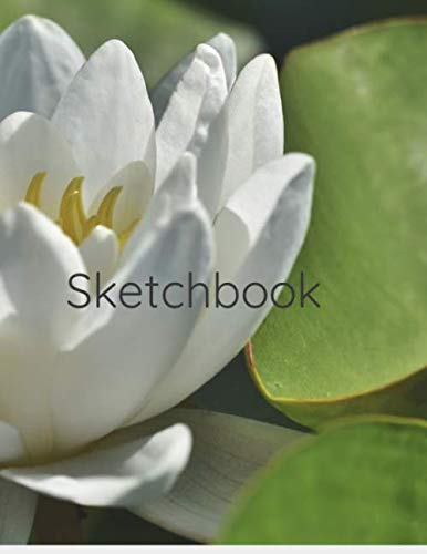Sketchbook: Sketchbook for artists Books