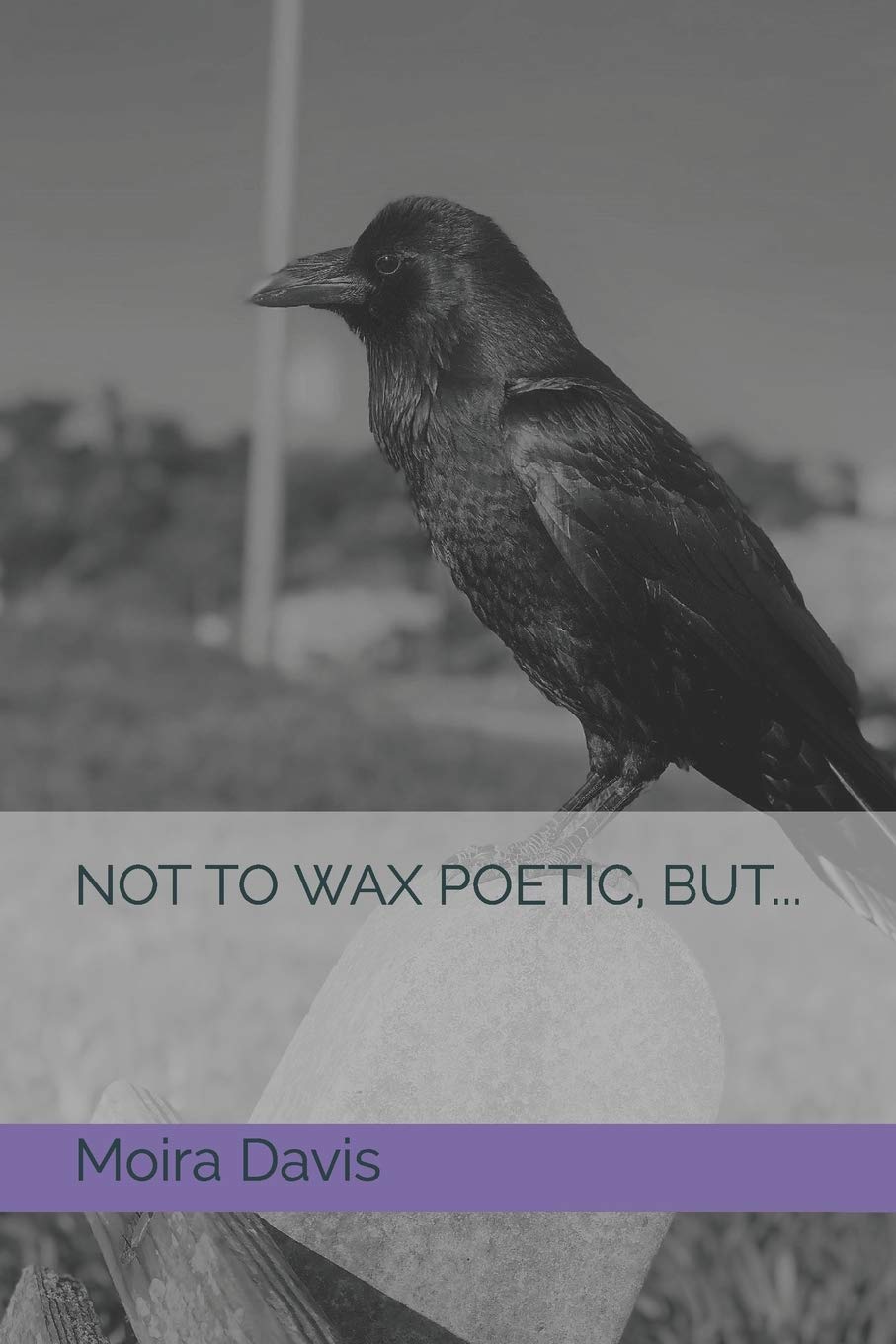 Not To Wax Poetic, But... Fiction