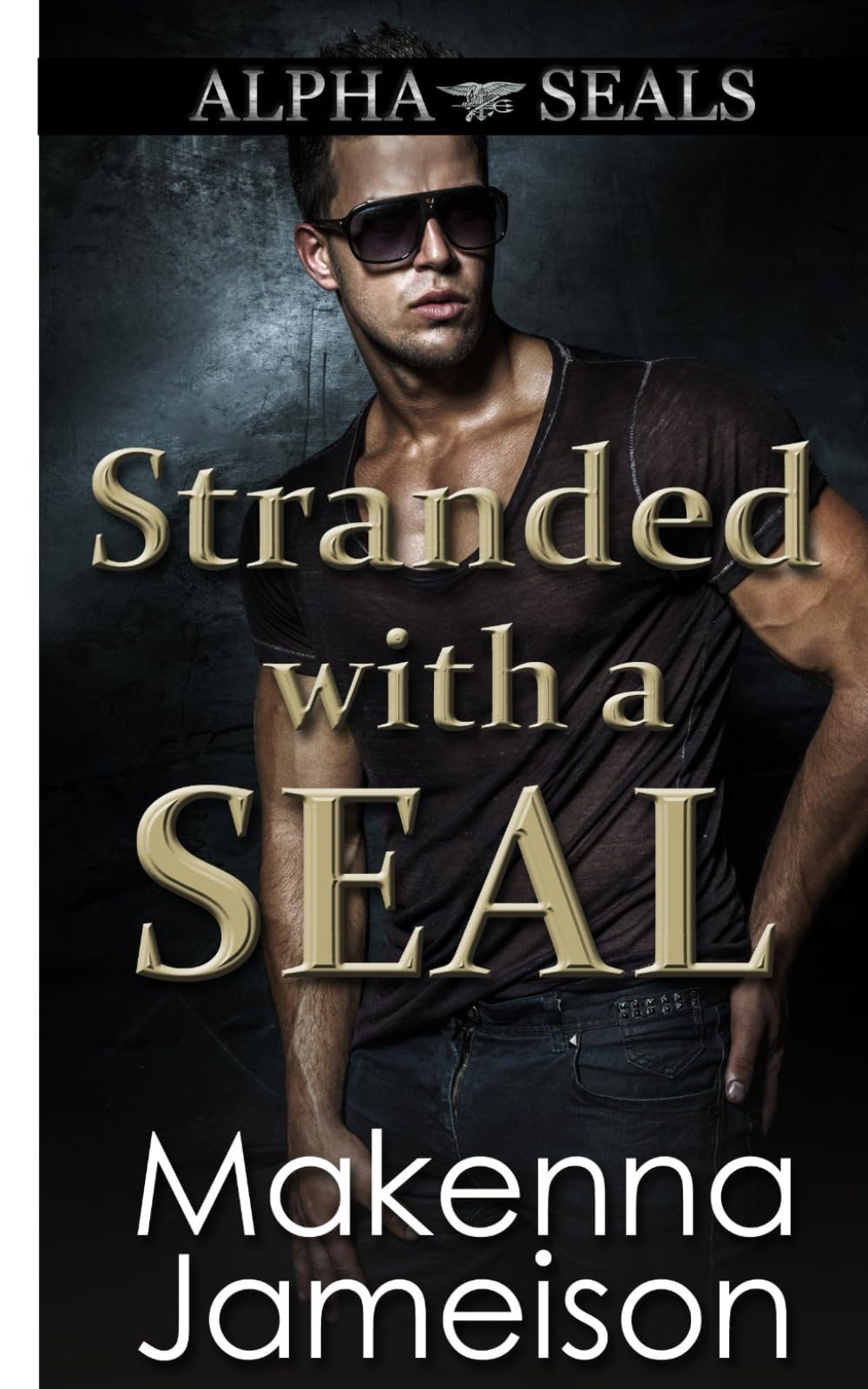 Stranded with a SEAL (Alpha SEALs, Band 12) Action & Adventure
