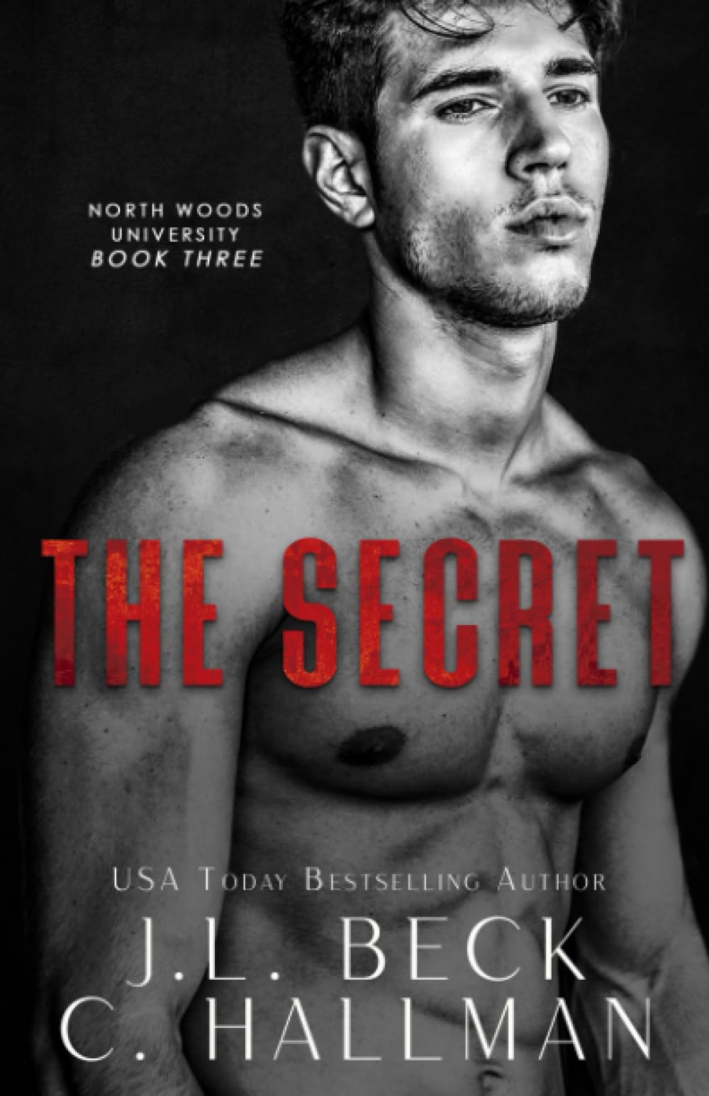 The Secret: A Friends To Lovers Romance New Adult